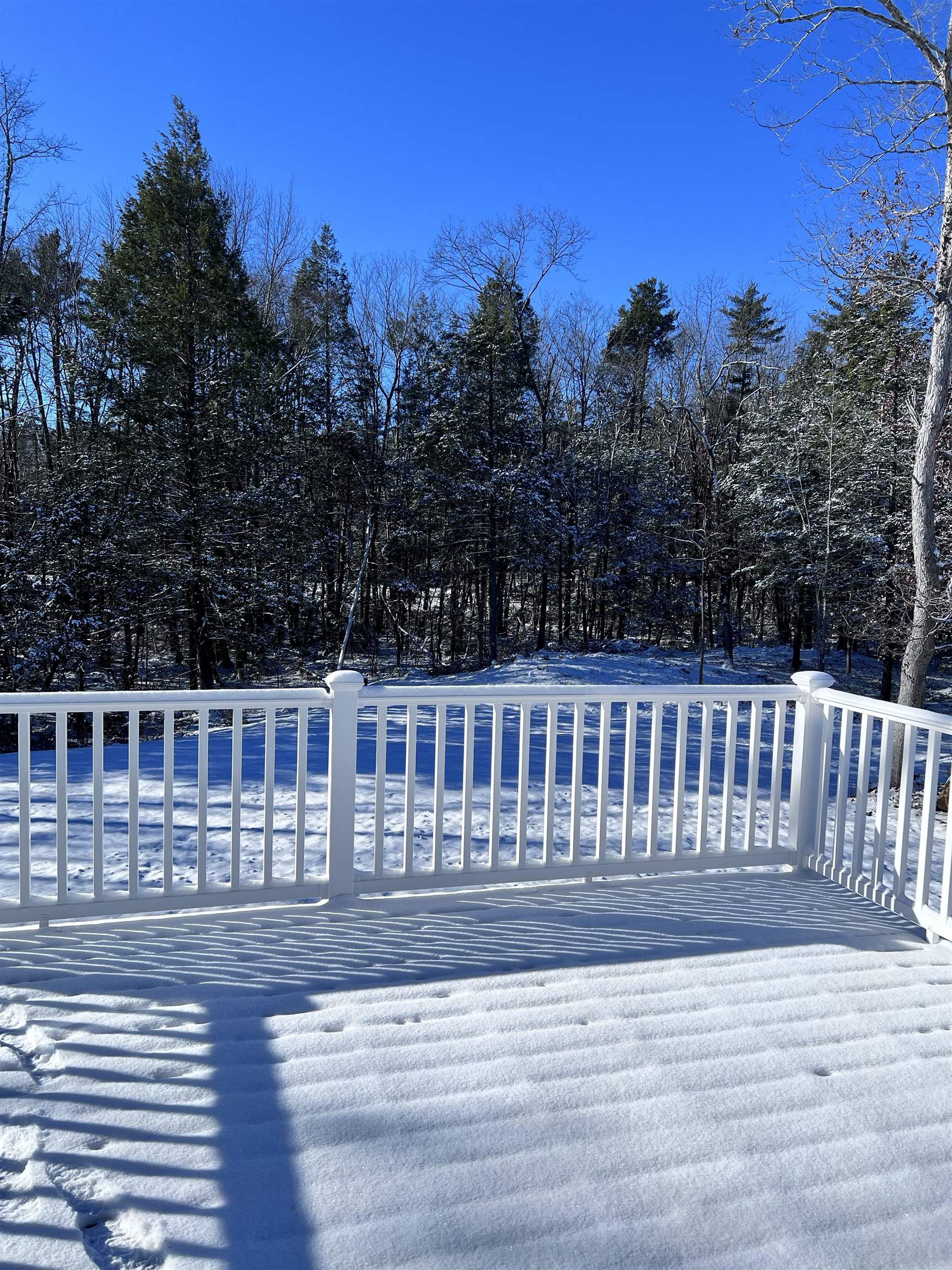 10 Doe Run Road Sandown, NH 03873 - Photo 12 of 12