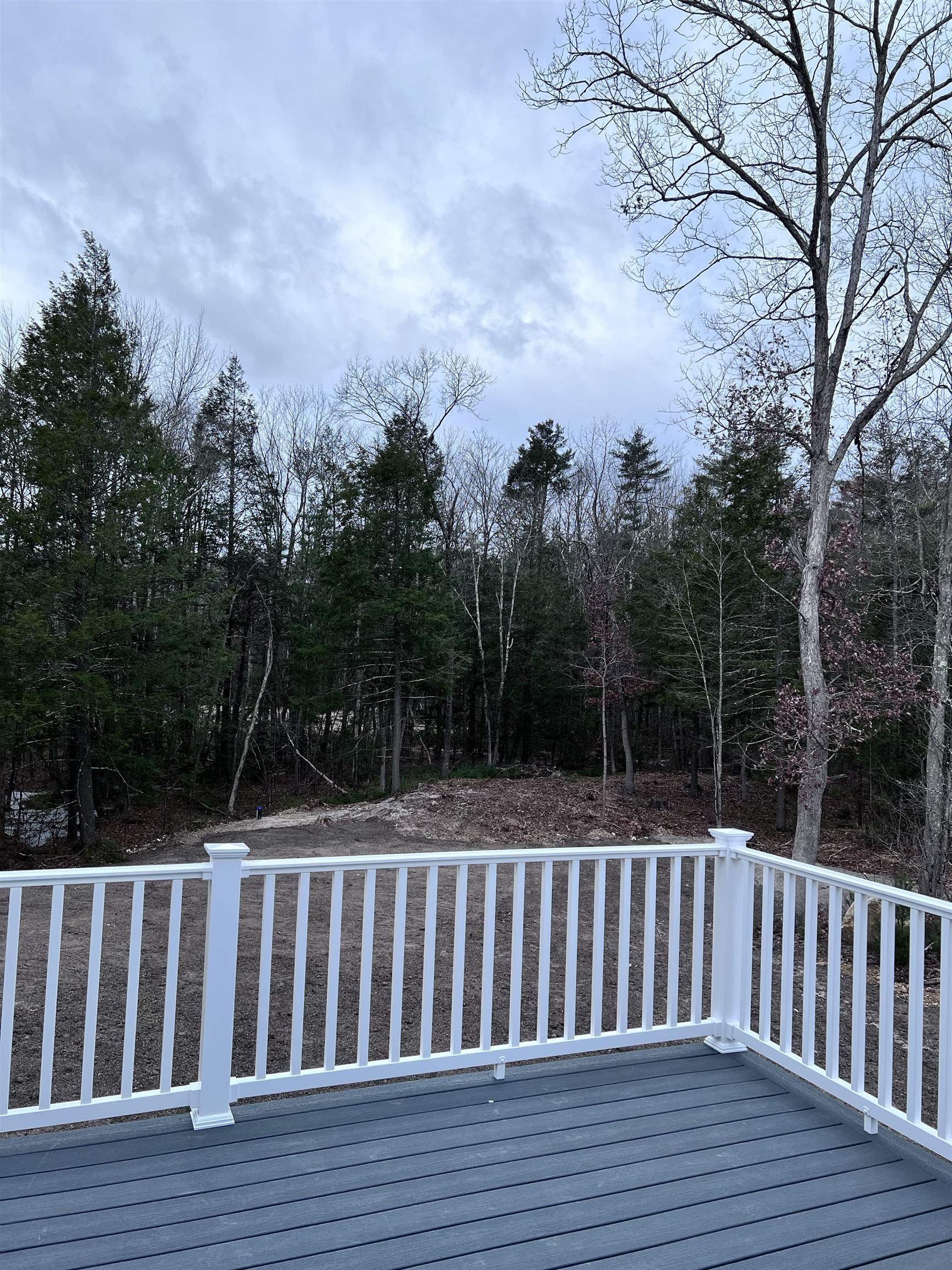 10 Doe Run Road Sandown, NH 03873 - Photo 6 of 12