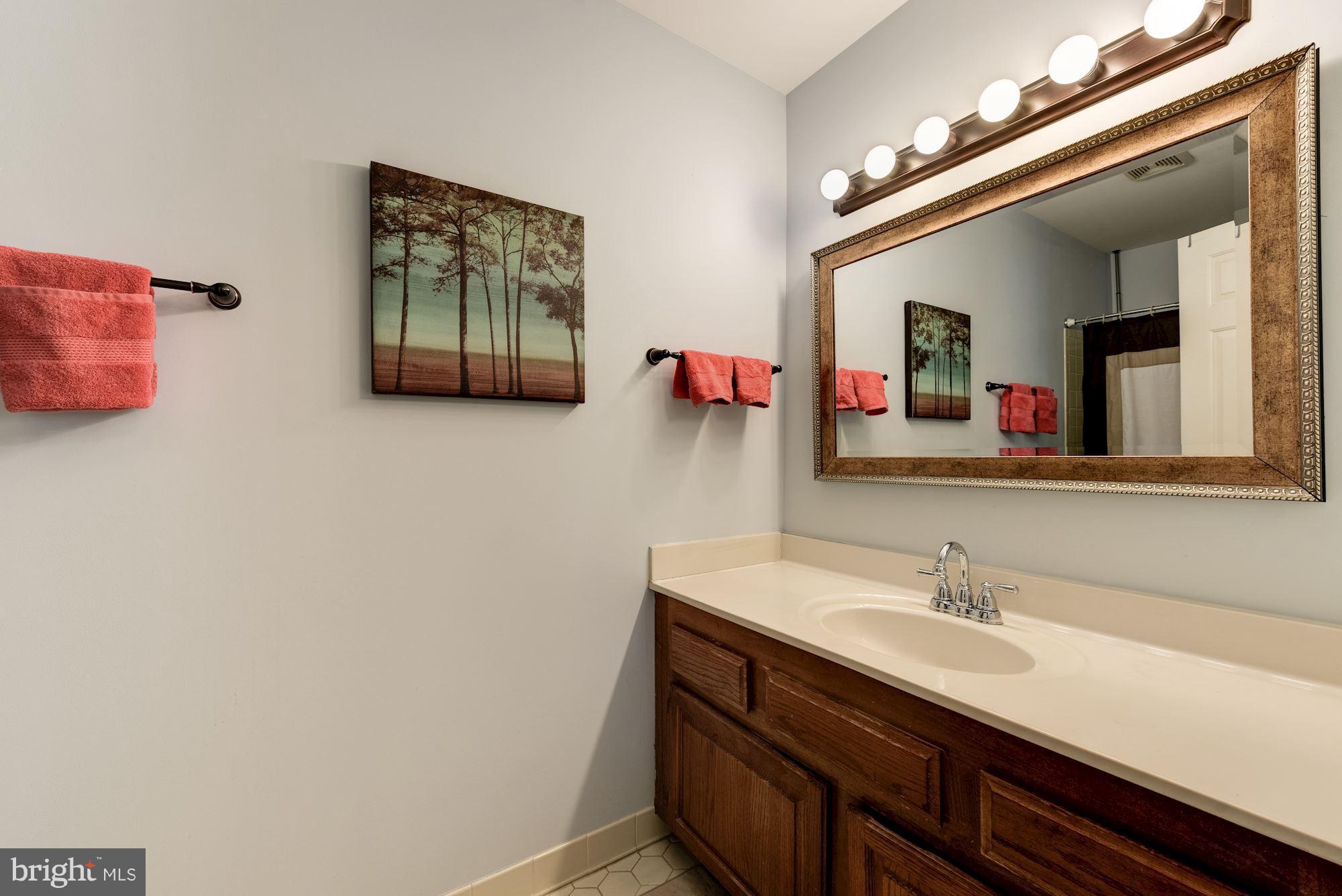 8170 Cliffview Avenue Springfield, VA 22153 - Photo 15 of 27 Bath (Master)
