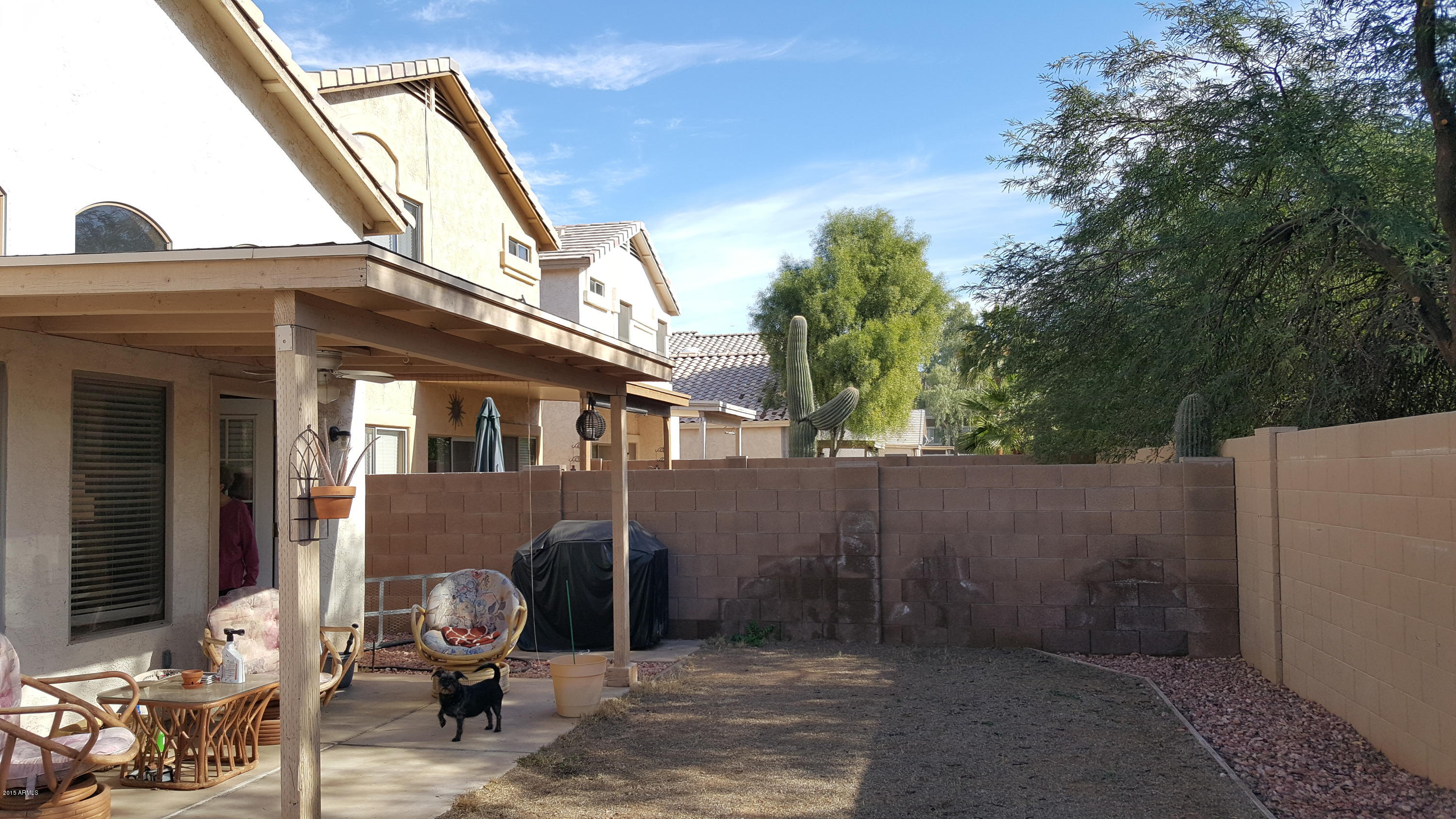 10529 West Almeria Road Avondale, AZ 85392 - Photo 17 of 22 20151231_115911