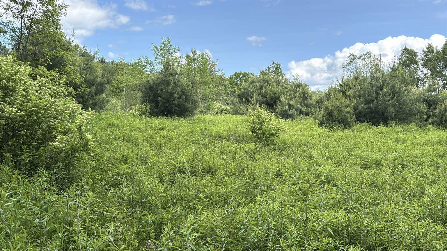 Lot B River Road Leeds, ME 04263 - Photo 20 of 20 Sargent.20