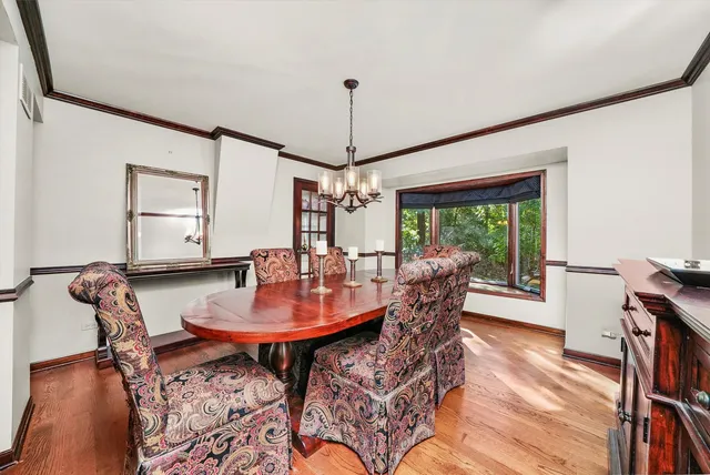 a dining room with furniture a rug a potted plant and wooden floor
