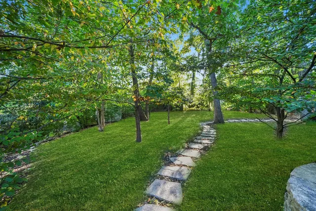 a view of a park with large trees