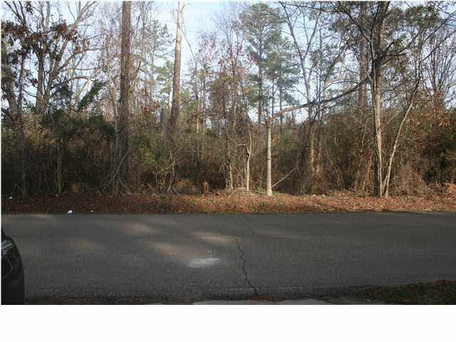 530 Old Rice Road Madison, MS 39110 - Photo 14 of 16 woods across the street from the home