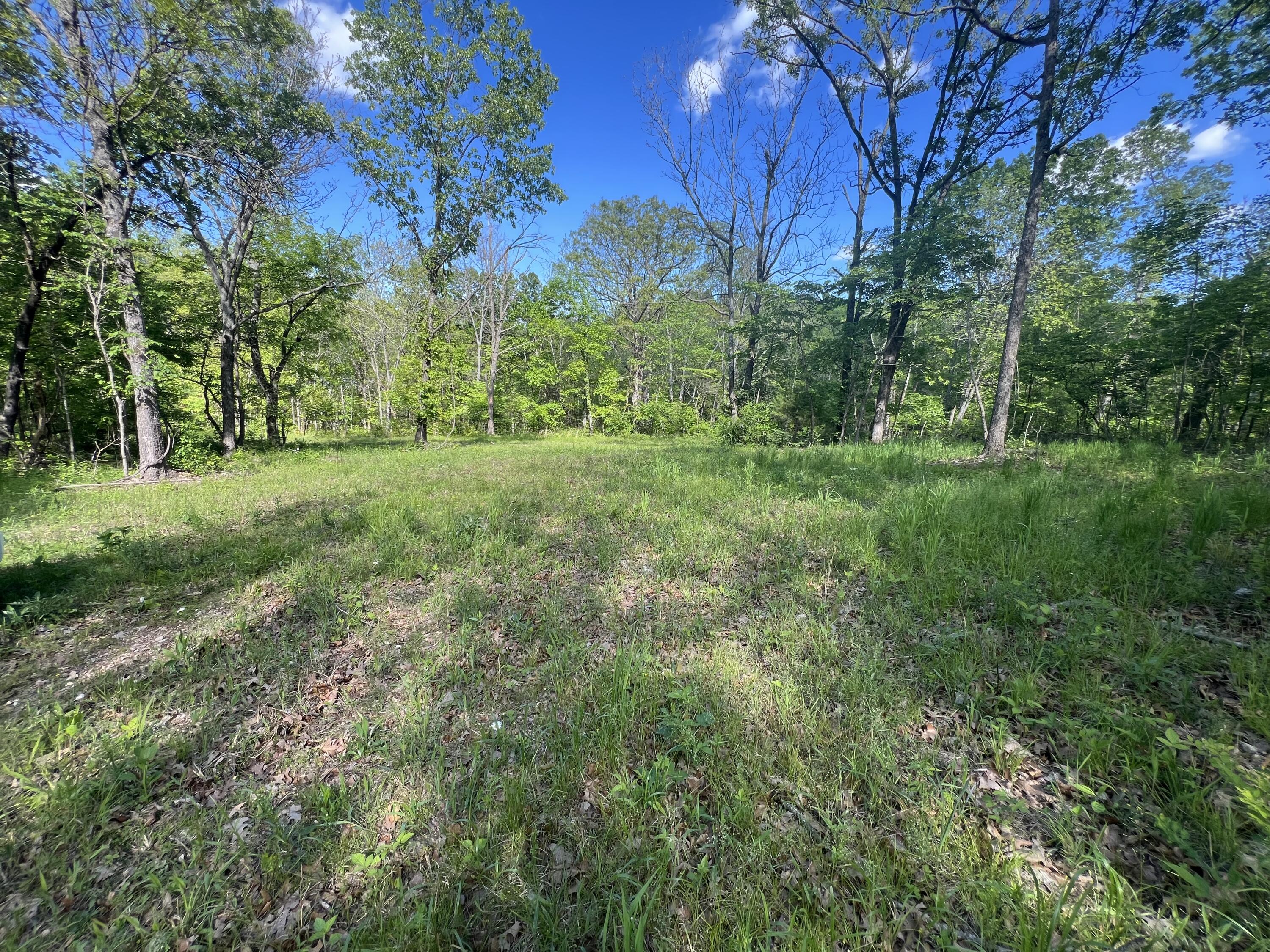 0 Temperance Valley Road Goodman, MO 64843 - Photo 1 of 1 IMG_5127