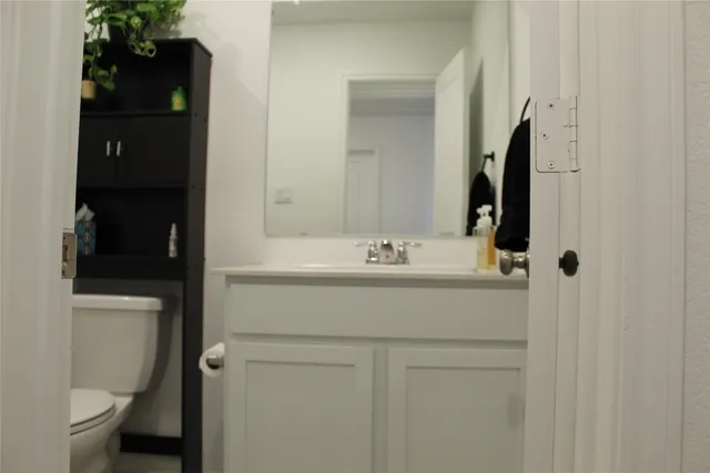 a bathroom with a sink and a toilet