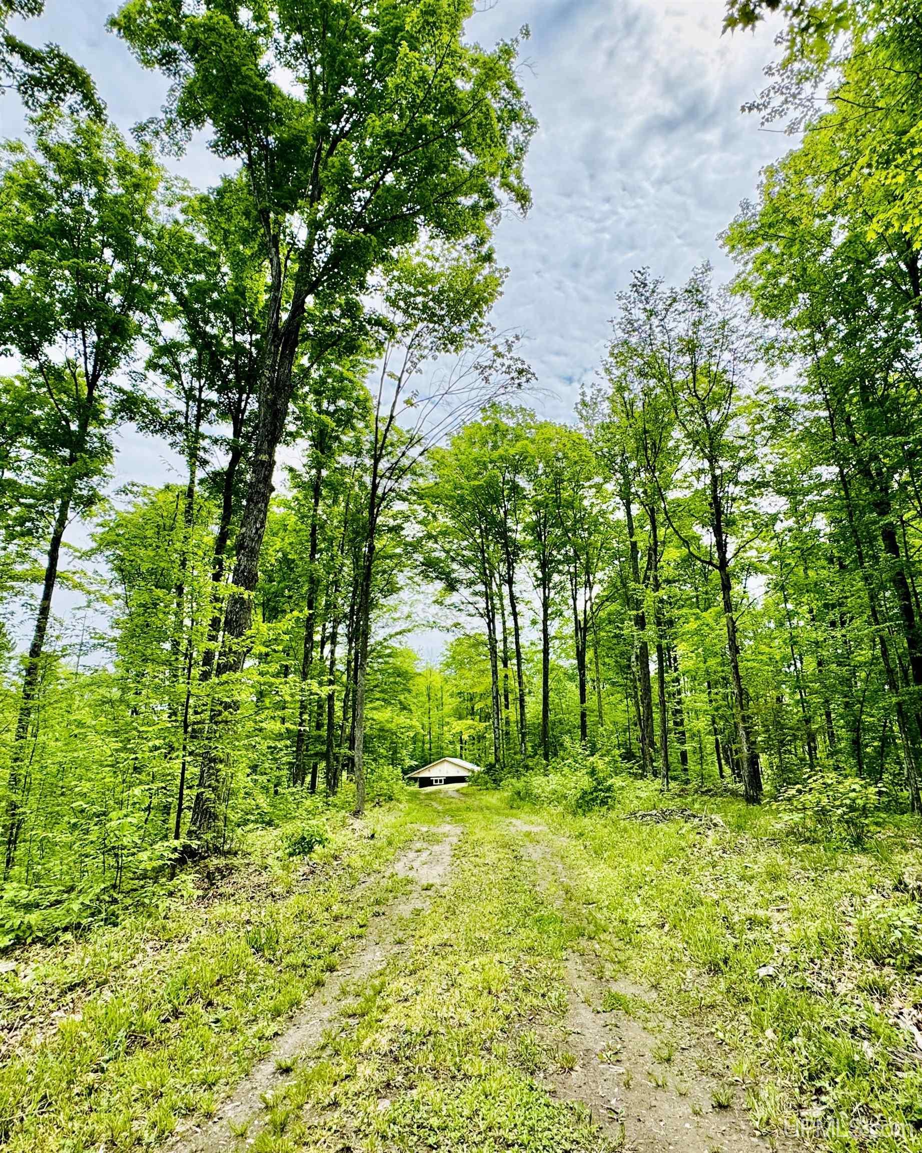 426 Rd Arnold Mi 49819 Road Felch, MI 49831 - Photo 11 of 45