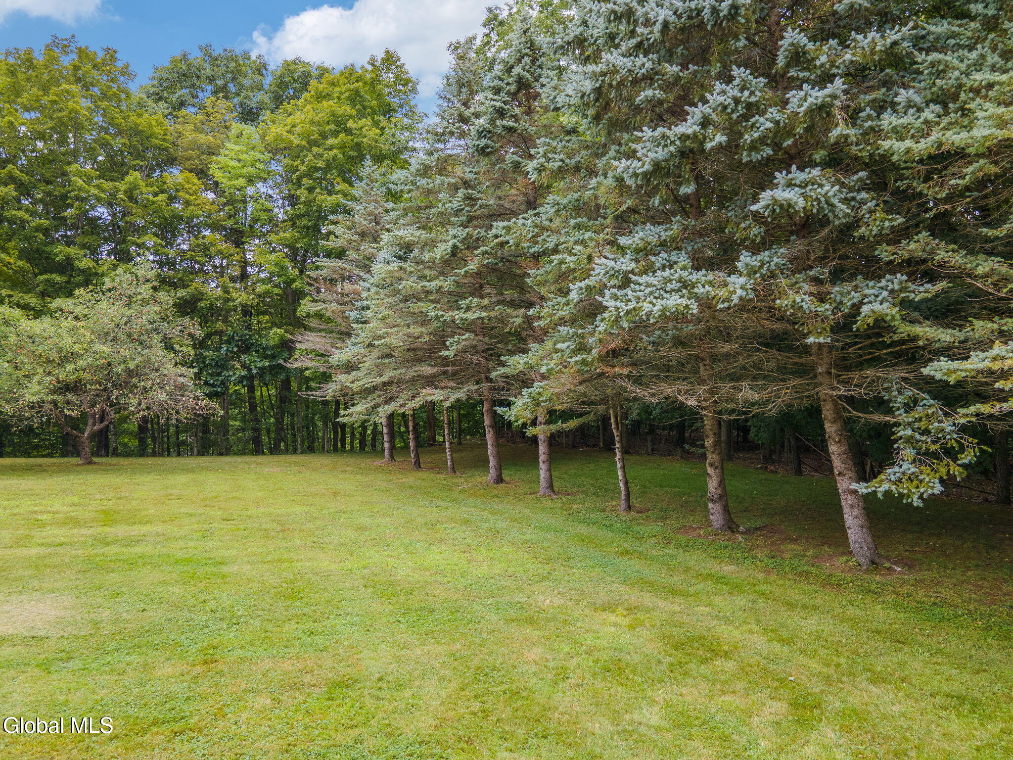 154 Phillips Road Petersburgh, NY 12138 - Photo 66 of 71 65-154PhillipsRd_065
