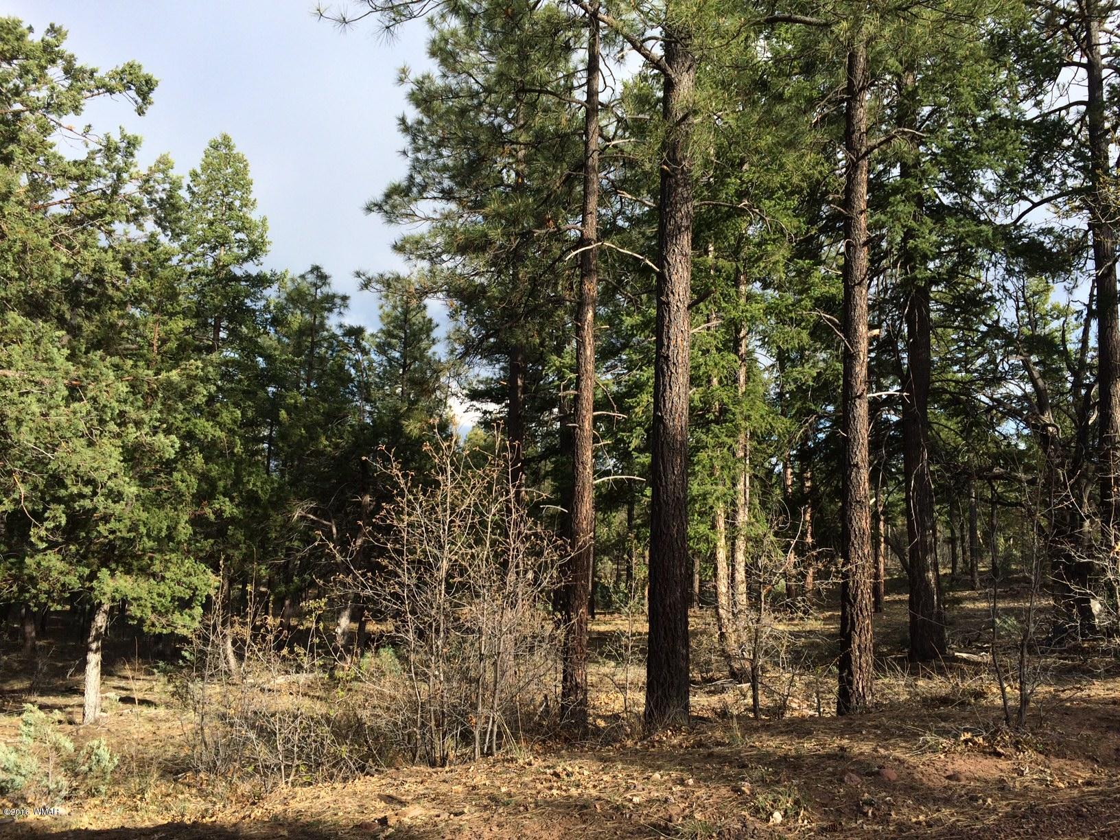 0 West Rim Road Lakeside, AZ 85929 - Photo 2 of 2