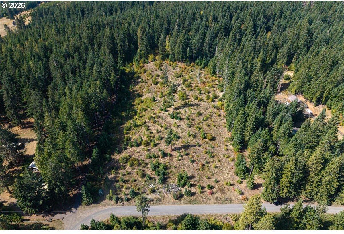 Moore Road White Salmon, WA 98672 - Photo 20 of 39 Gallery Image 20