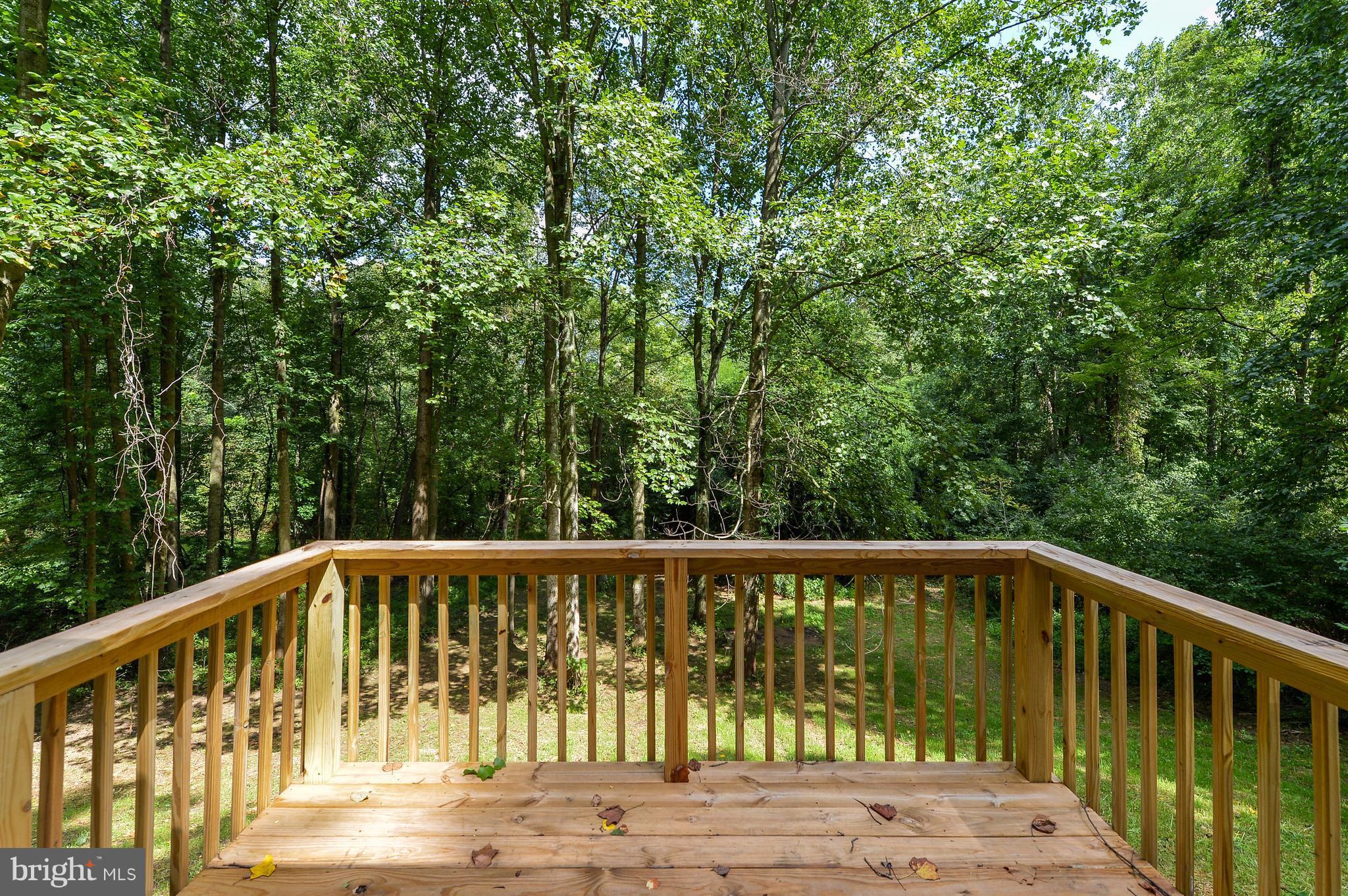 45 Russell Road Conowingo, MD 21918 - Photo 22 of 23 Exterior (Rear)