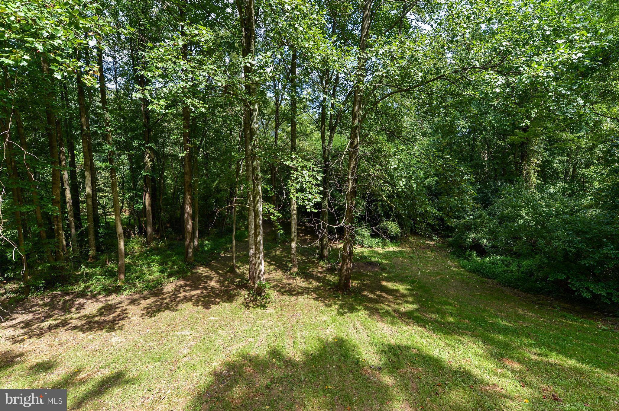 45 Russell Road Conowingo, MD 21918 - Photo 23 of 23 Exterior (Rear)