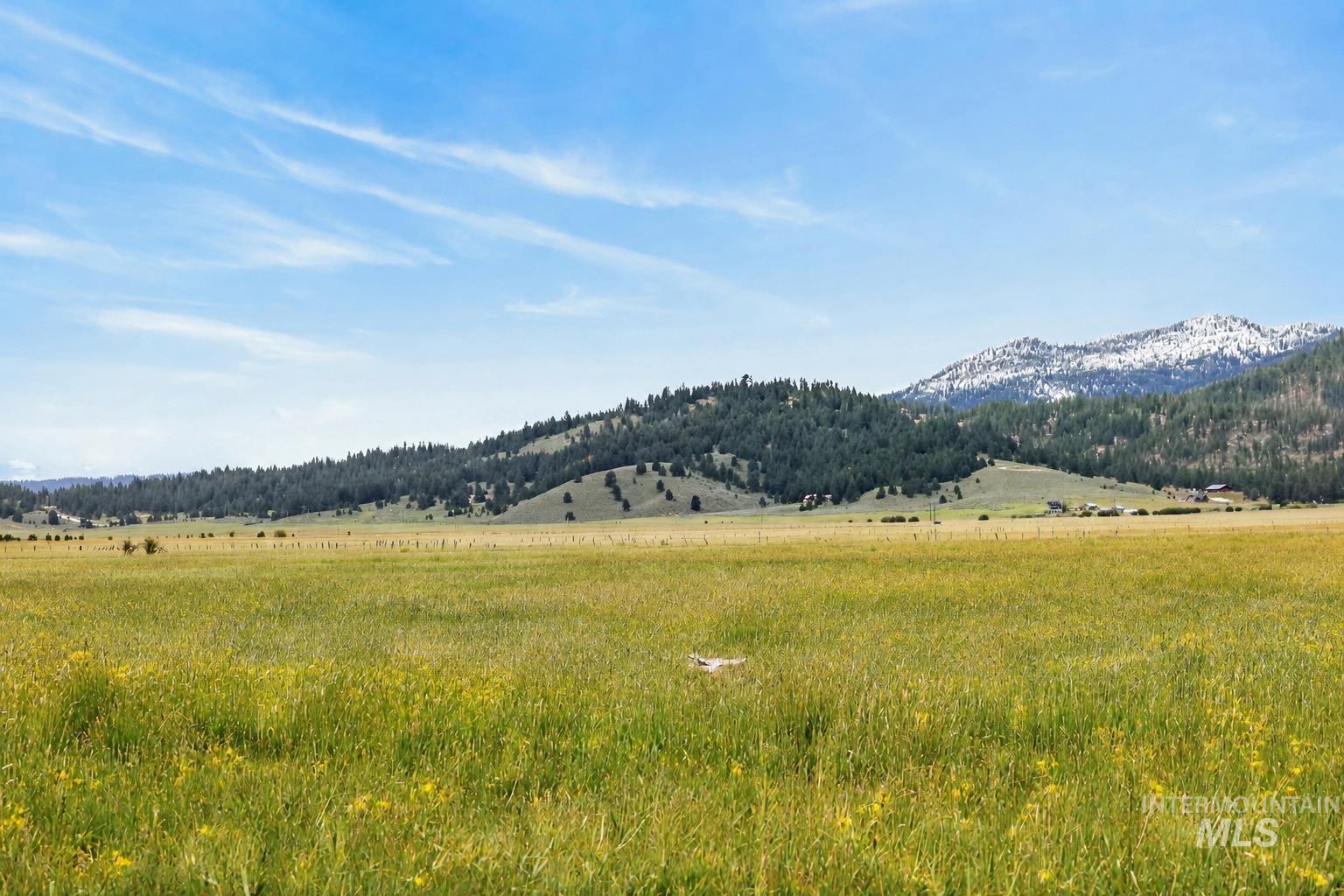 17 Gray Lane Cascade, ID 83611 - Photo 6 of 18