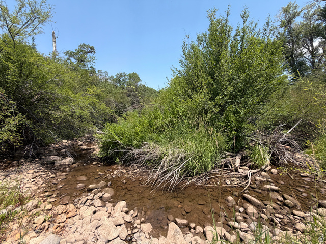 785 Hardscrabble Road Morgan, UT 84050 - Photo 1 of 16 Natural creek bed with clear shallow water and surrounding dense foliage
