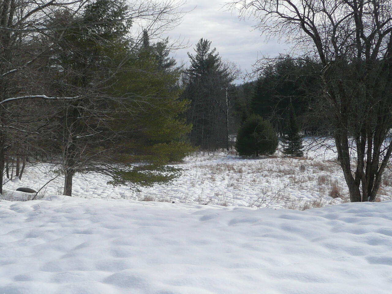 741 Elliotsville Road Monson, ME 04464 - Photo 32 of 37 P1050315