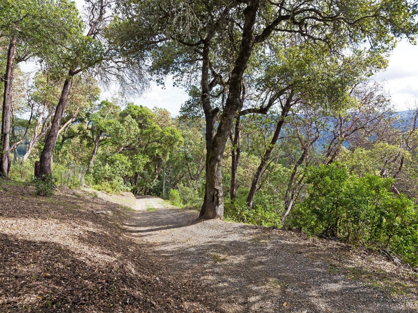 16330 Old Ranch Road Los Gatos, CA 95033 - Photo 6 of 10 Gallery Image 6
