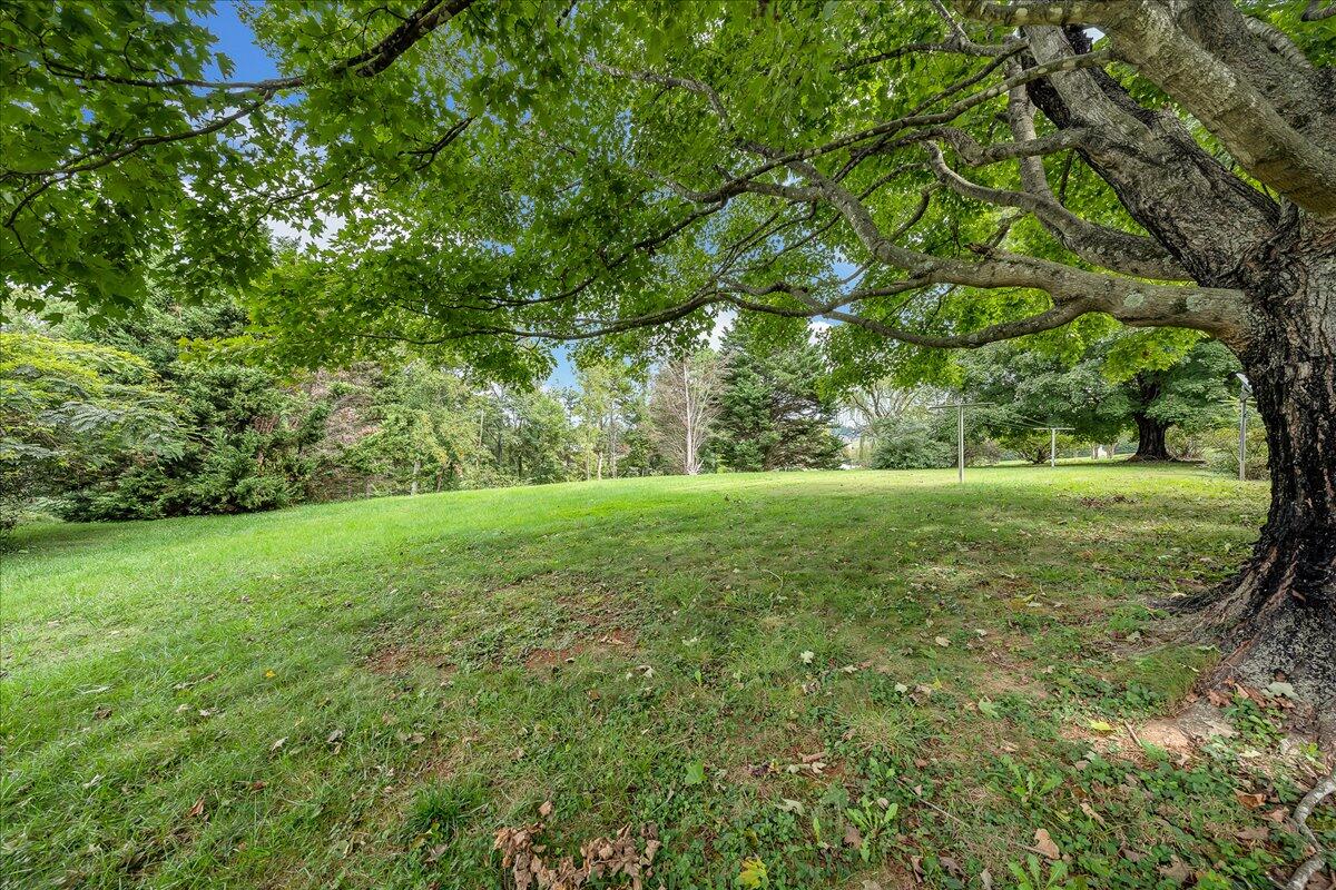 8450 Forest Road Goode, VA 24556 - Photo 16 of 49 a view of yard with green space