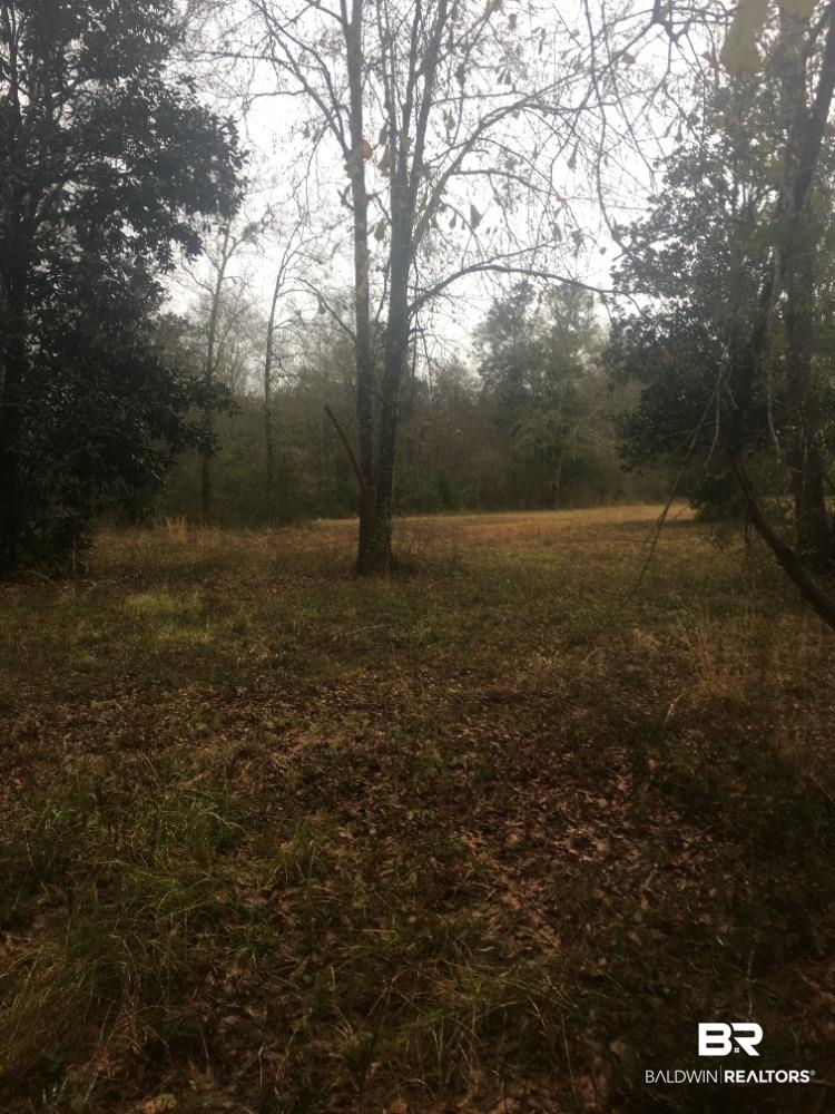 852 Hickory Street Florala, AL 36442 - Photo 7 of 11