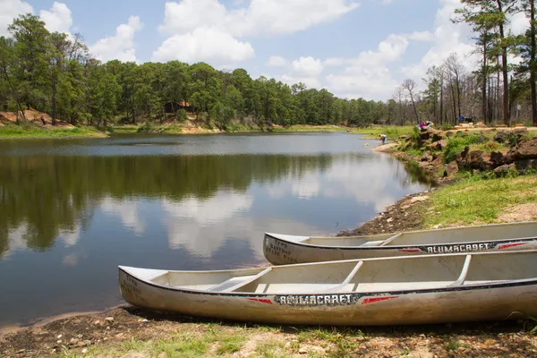 $1,995 | 208 Trailside Lane, Bastrop, TX 78602