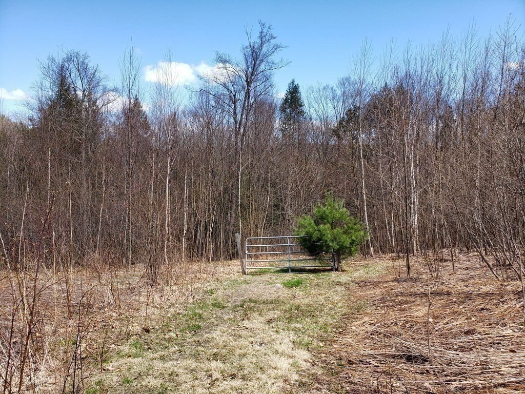 31 Goss Hill Road Huntington, MA 01050 - Photo 15 of 20