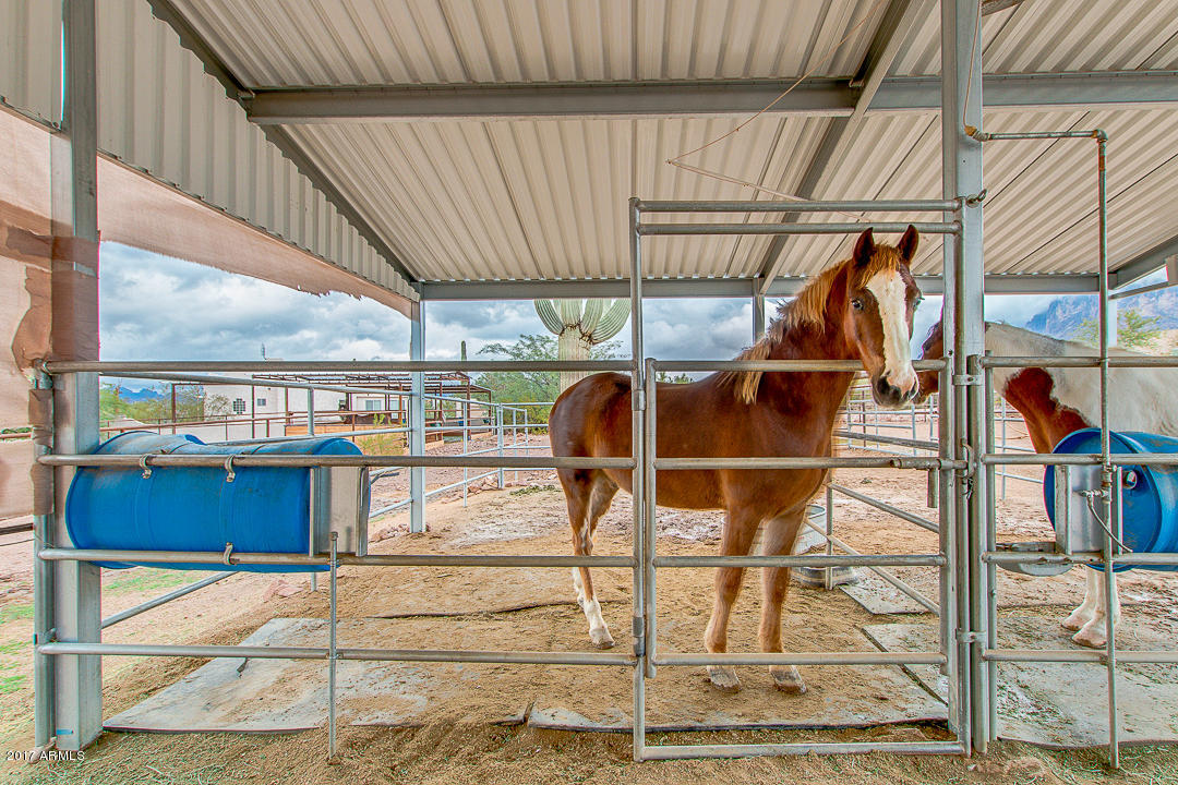 70 North Geronimo Road Apache Junction, AZ 85119 - Photo 50 of 61 03-Geronimo reshoot
