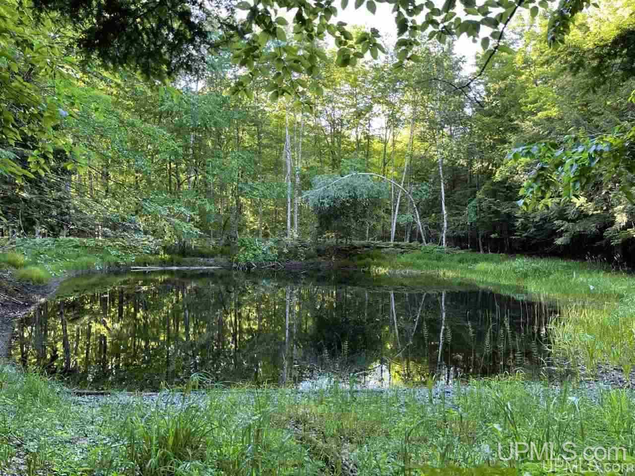 Tbd Tbd Saari Road Lanse, MI 49946 - Photo 12 of 27