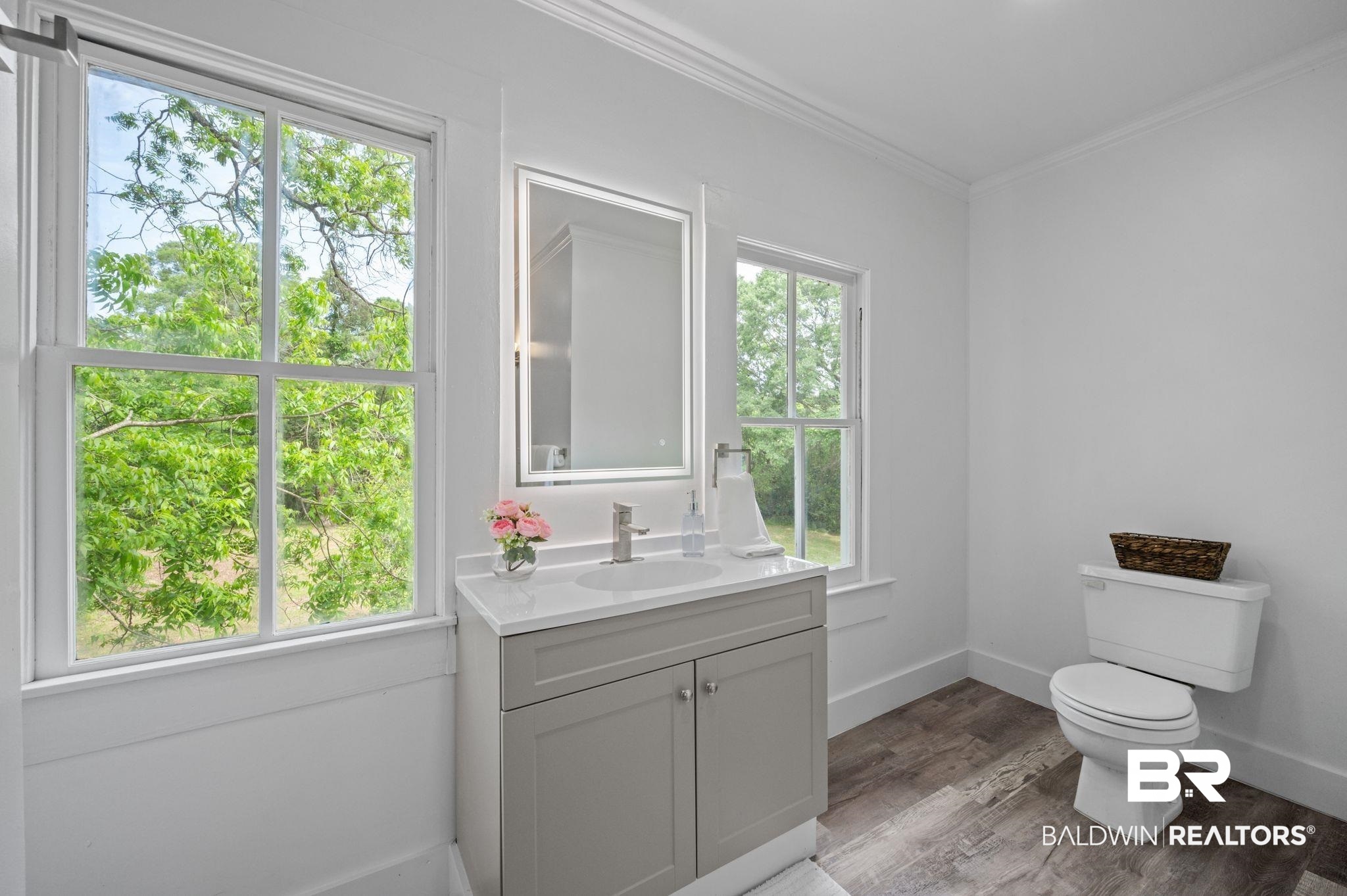 733 Pineville Road Monroeville, AL 36460 - Photo 33 of 68 Bathroom featuring vanity, ornamental molding, wood finished floors, toilet, and baseboards