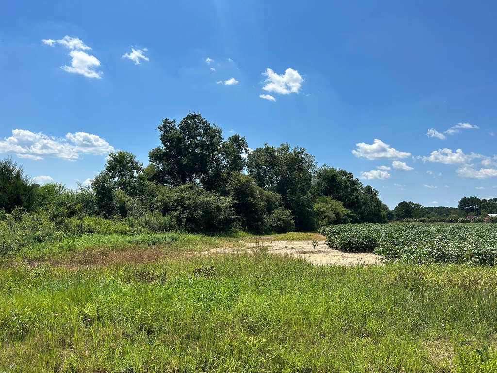 132.3-ac Green Road Dothan, AL 36303 - Photo 56 of 63