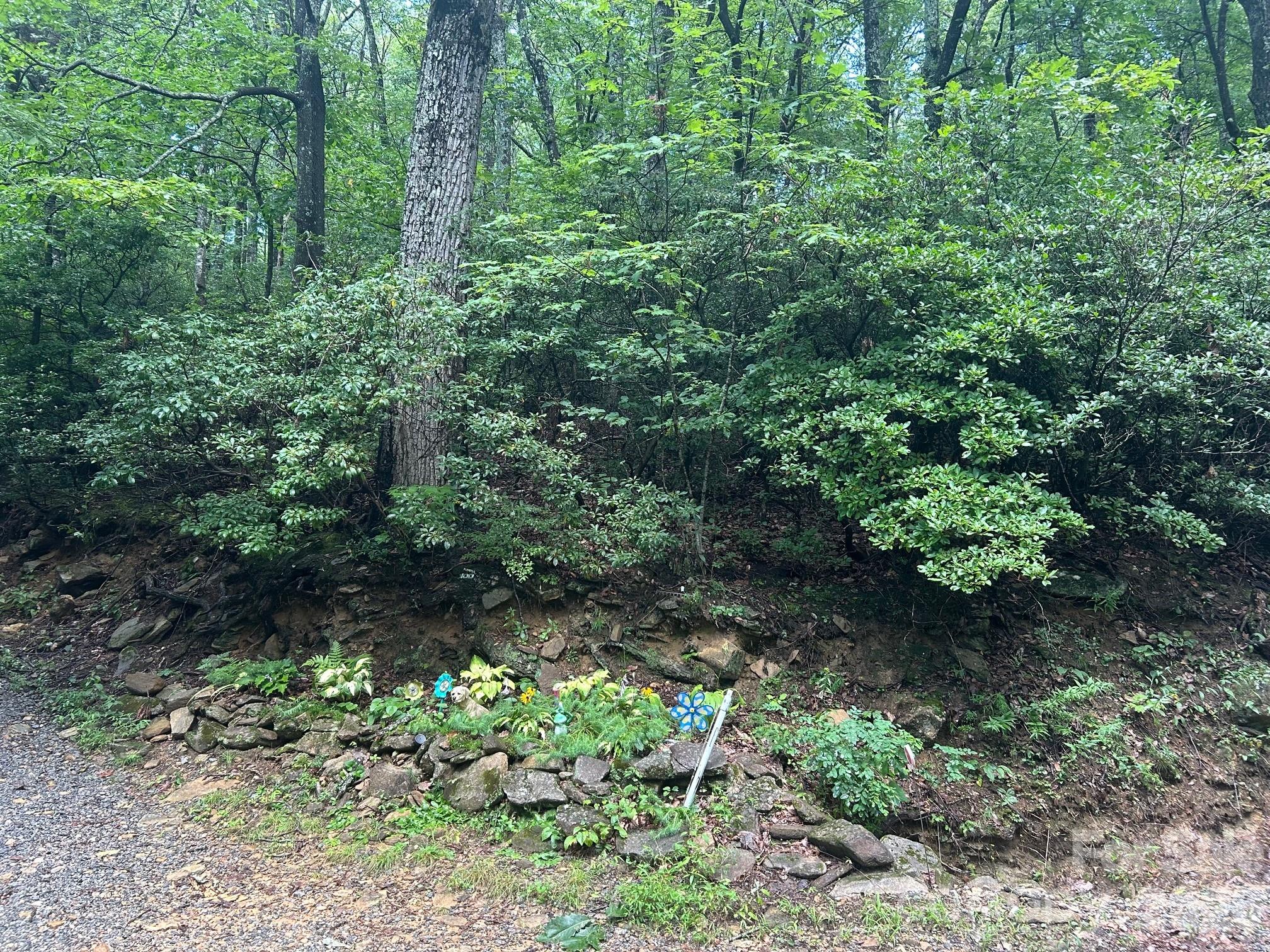 0 Pine Ridge Road, Unit 21 Hendersonville, NC 28792 - Photo 1 of 20 a plant view in yard