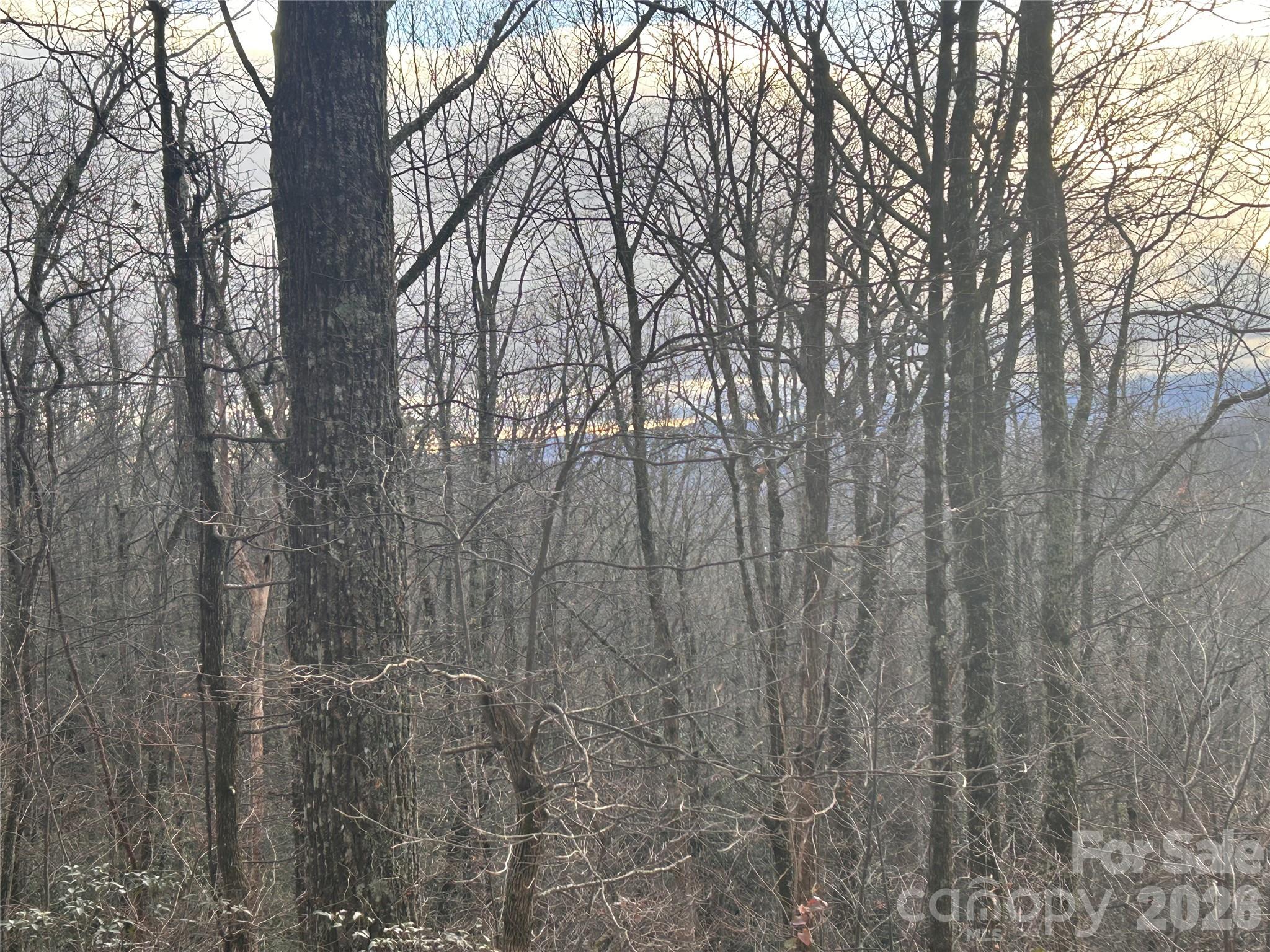 0 Pine Ridge Road, Unit 21 Hendersonville, NC 28792 - Photo 11 of 20 a backyard of a house with lots of green space
