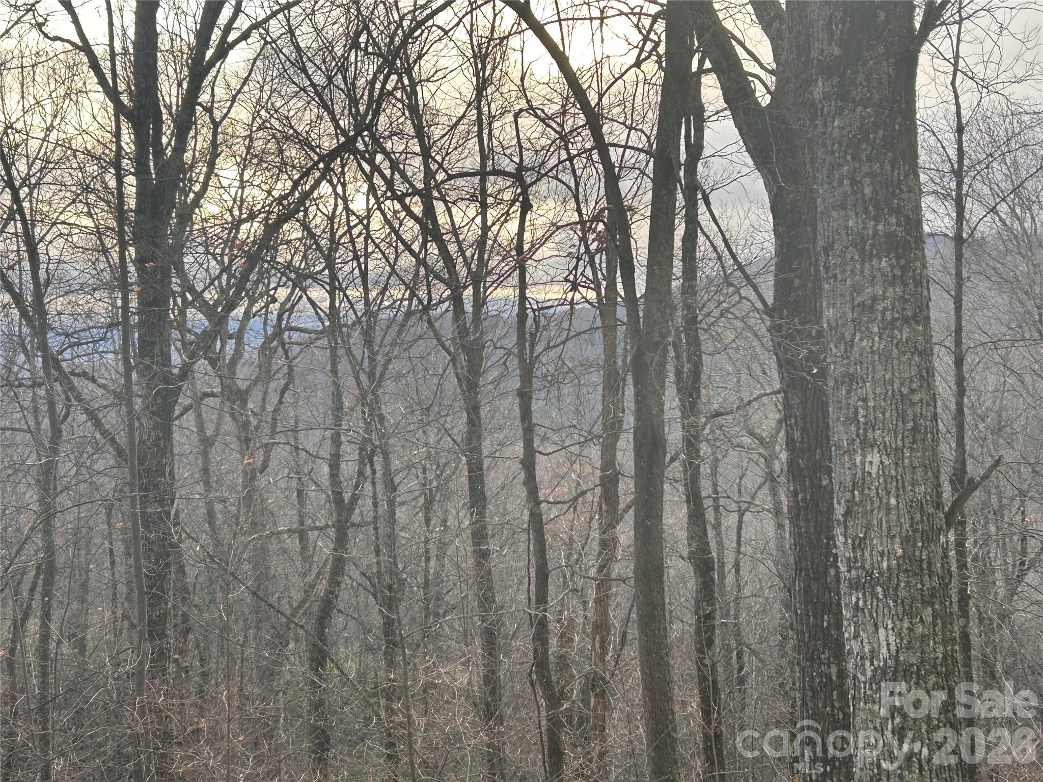 0 Pine Ridge Road, Unit 21 Hendersonville, NC 28792 - Photo 12 of 20 a view of forest