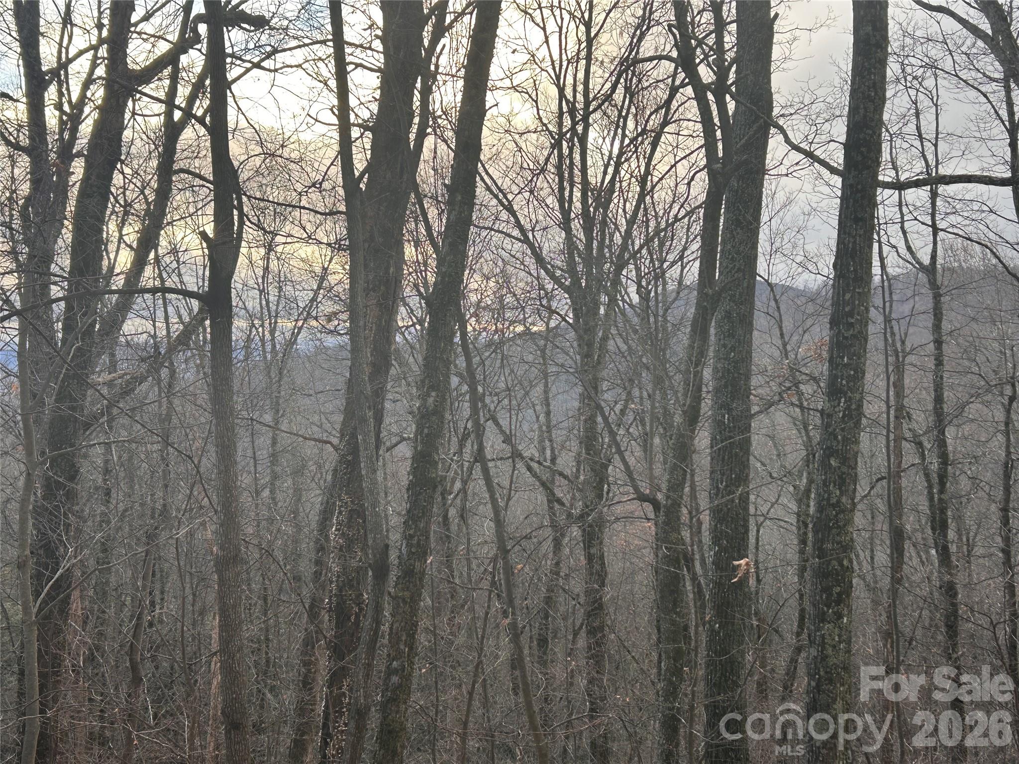 0 Pine Ridge Road, Unit 21 Hendersonville, NC 28792 - Photo 13 of 20 a view of forest