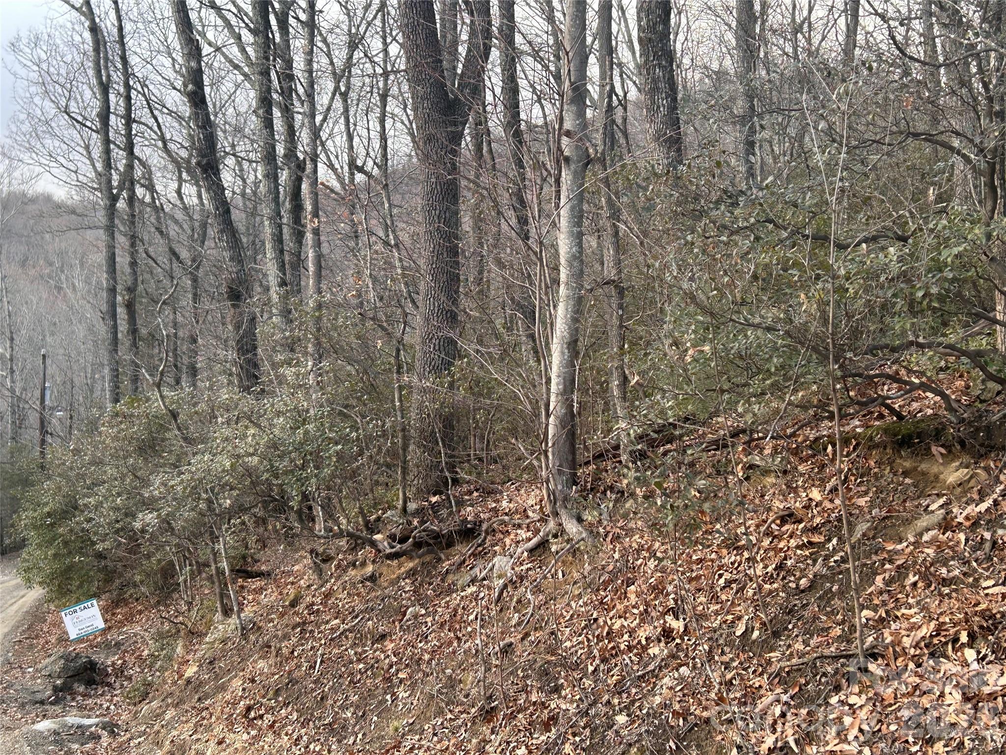 0 Pine Ridge Road, Unit 21 Hendersonville, NC 28792 - Photo 14 of 20 a view of a yard with trees in the background