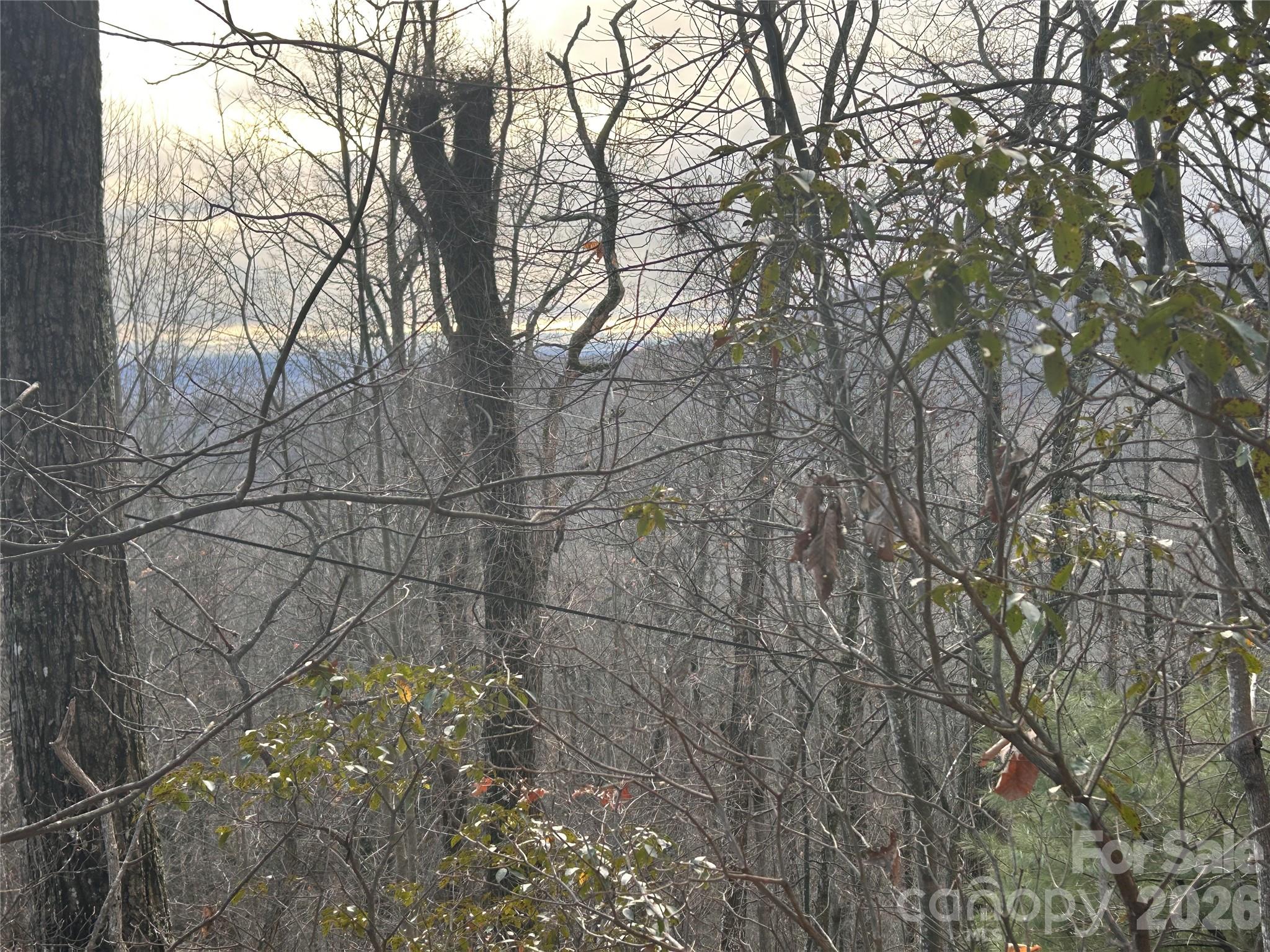 0 Pine Ridge Road, Unit 21 Hendersonville, NC 28792 - Photo 15 of 20