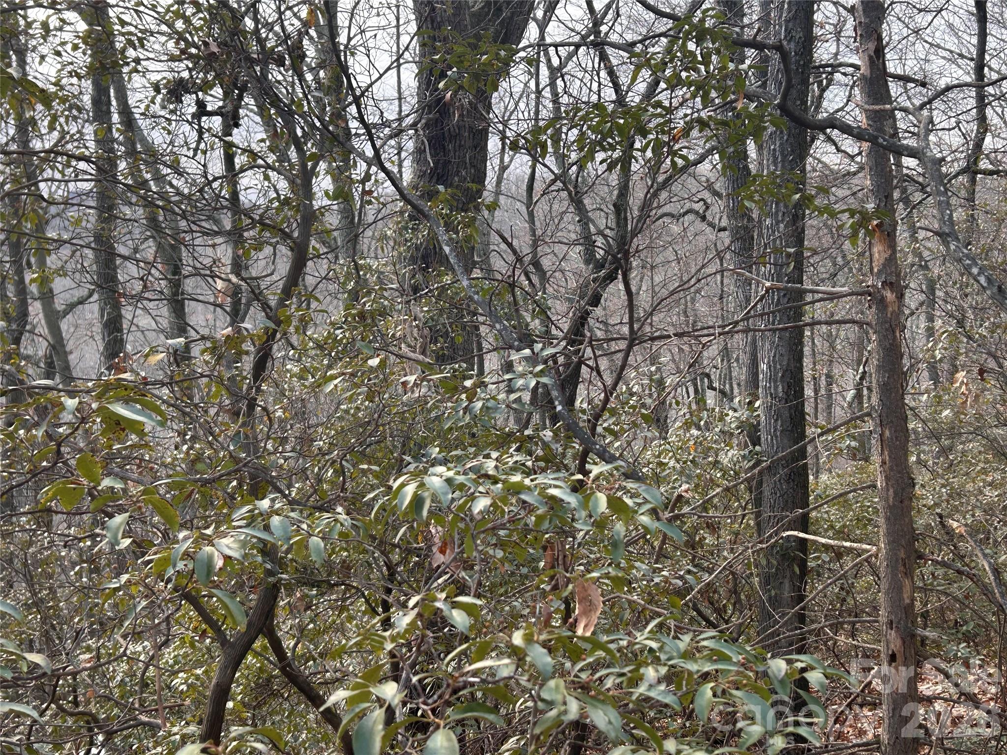 0 Pine Ridge Road, Unit 21 Hendersonville, NC 28792 - Photo 17 of 20 a view of a yard with a tree