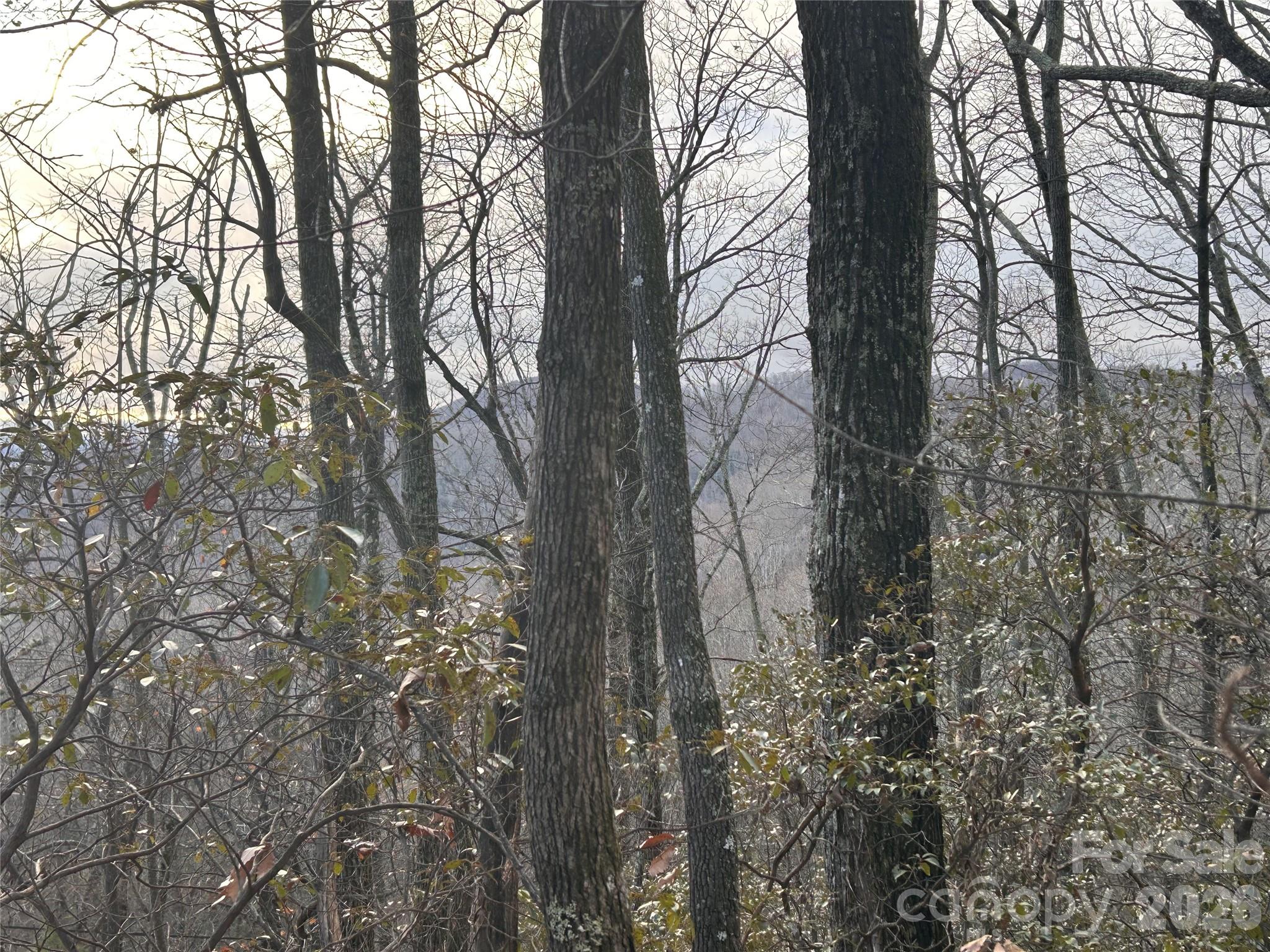 0 Pine Ridge Road, Unit 21 Hendersonville, NC 28792 - Photo 18 of 20 a view of forest