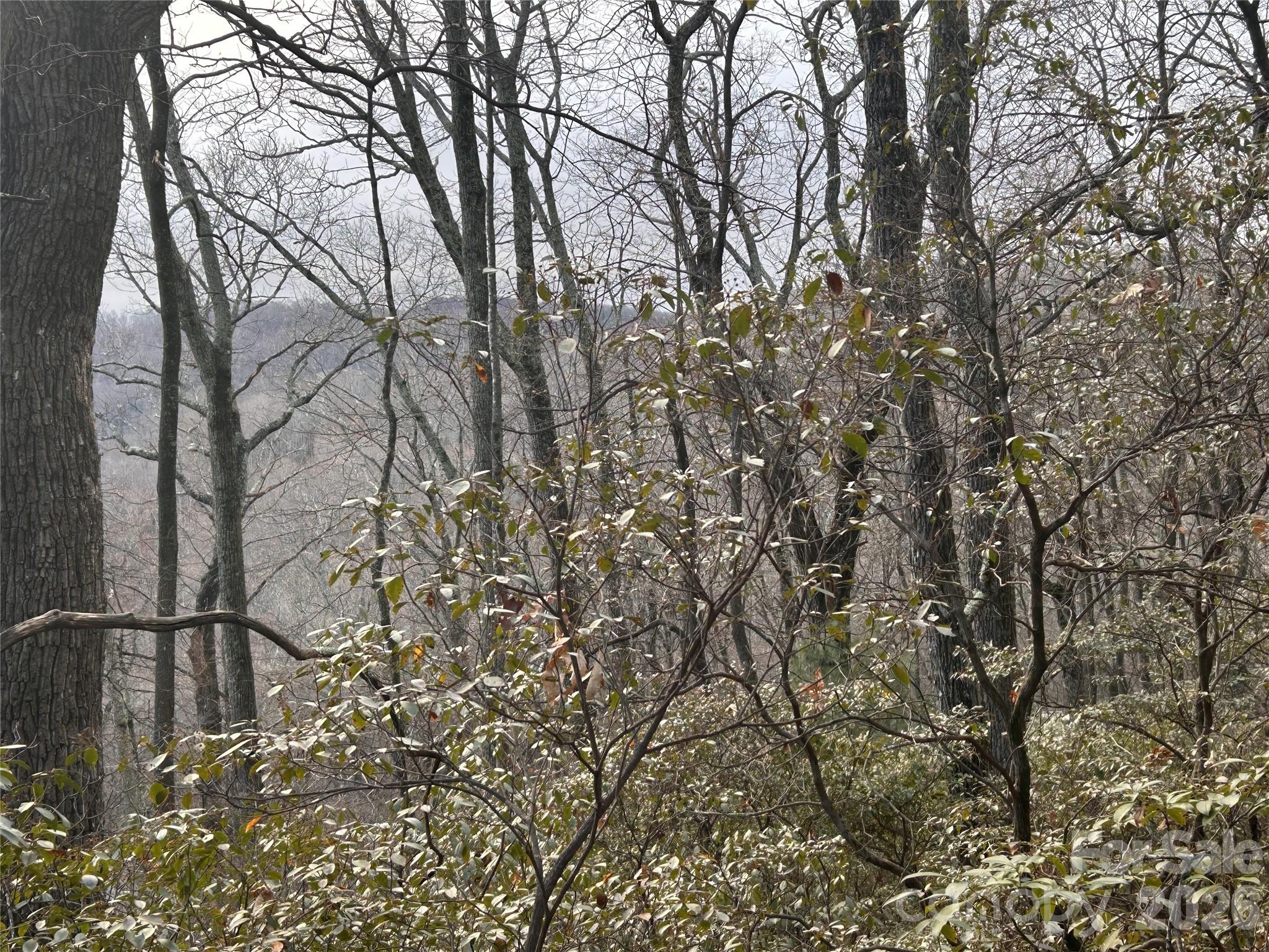 0 Pine Ridge Road, Unit 21 Hendersonville, NC 28792 - Photo 19 of 20 a backyard of a house with lots of green space
