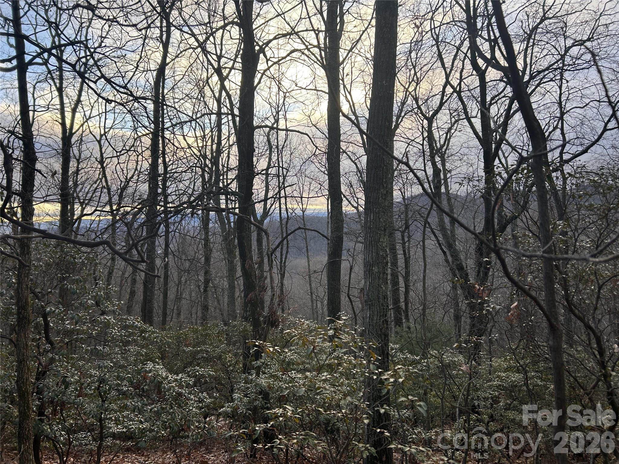 0 Pine Ridge Road, Unit 21 Hendersonville, NC 28792 - Photo 20 of 20 a backyard of a house with lots of green space