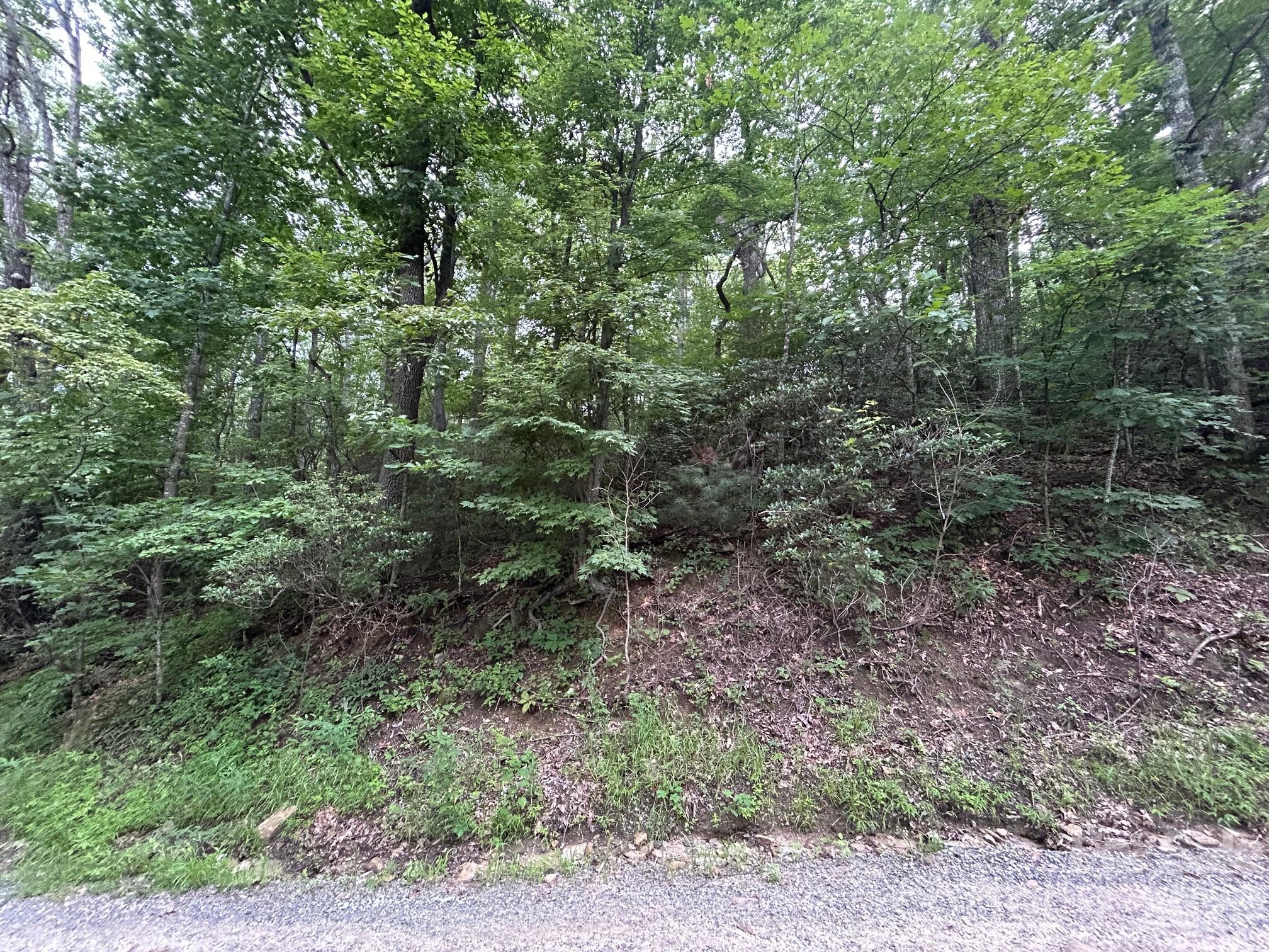 0 Pine Ridge Road, Unit 21 Hendersonville, NC 28792 - Photo 5 of 20 a view of a forest with trees in the background