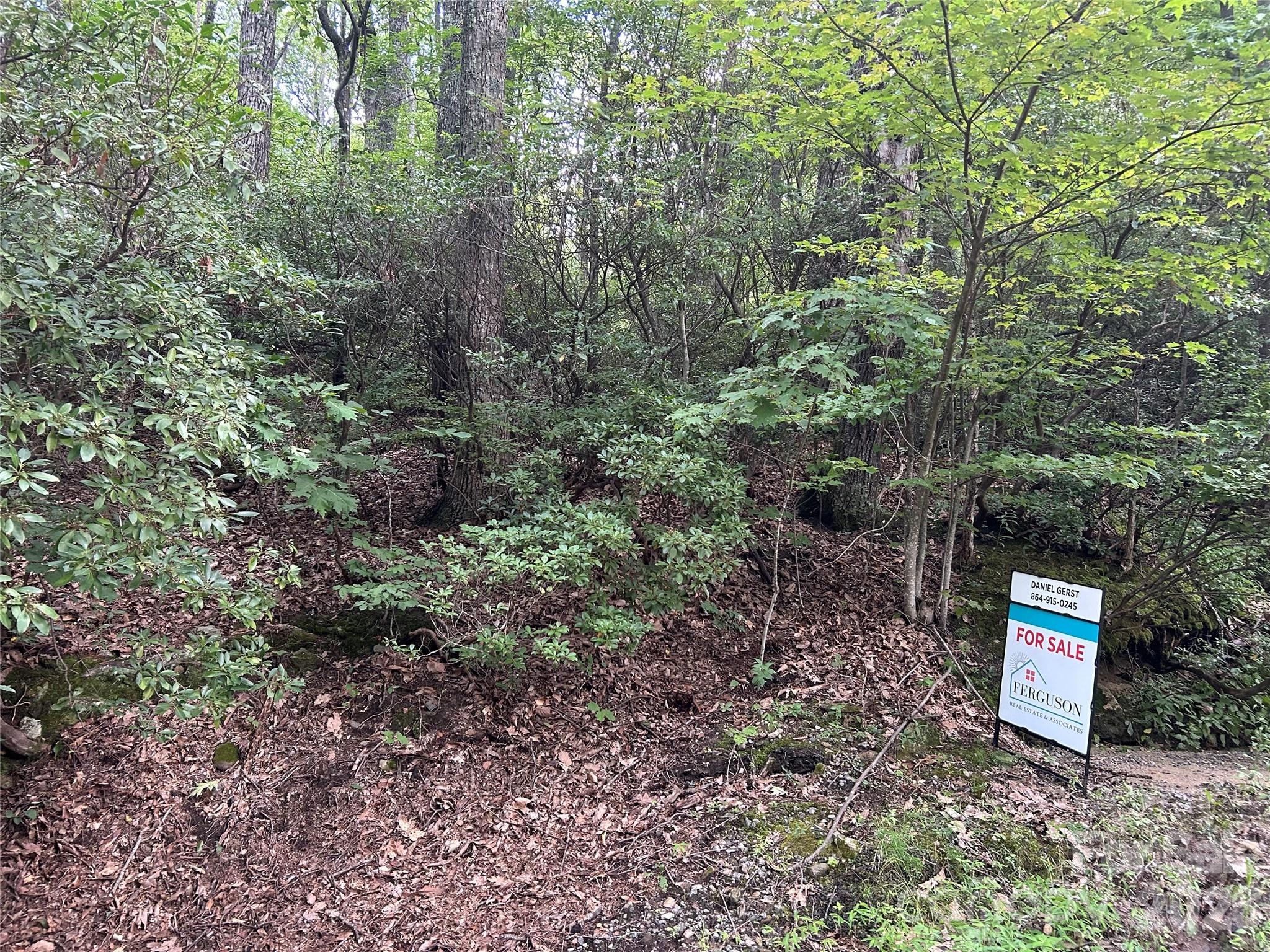 0 Pine Ridge Road, Unit 21 Hendersonville, NC 28792 - Photo 8 of 20 a sign that is sitting in the middle of forest
