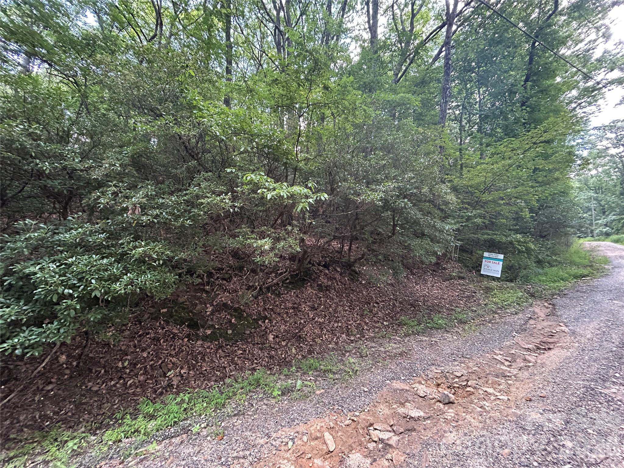 0 Pine Ridge Road, Unit 21 Hendersonville, NC 28792 - Photo 9 of 20 a view of a forest with trees in the background