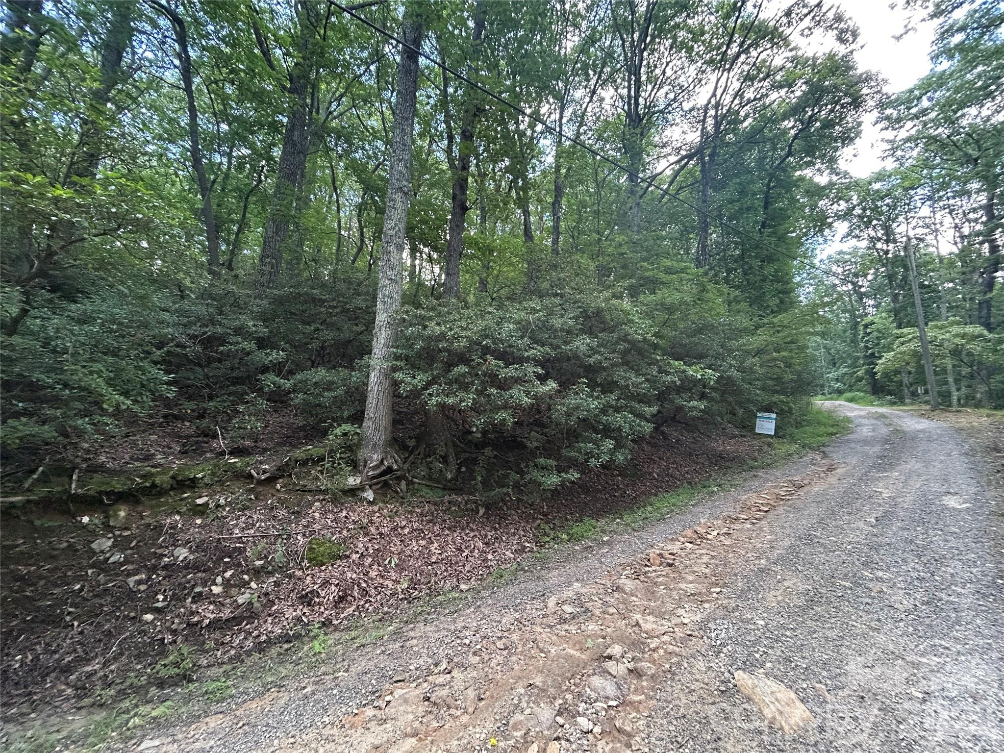 0 Pine Ridge Road, Unit 21 Hendersonville, NC 28792 - Photo 10 of 20 a view of a forest with trees in the background