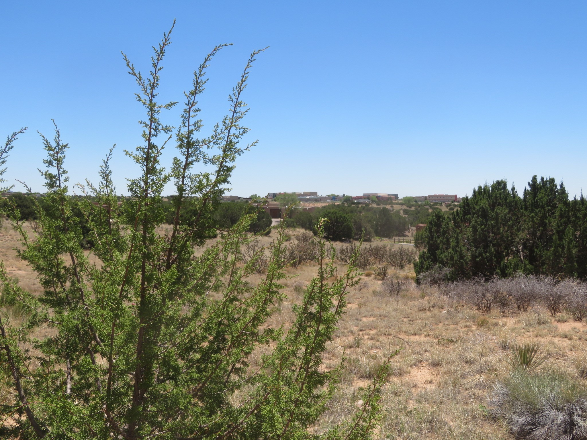 92 Canada Del Rancho Santa Fe, NM 87508 - Photo 10 of 10