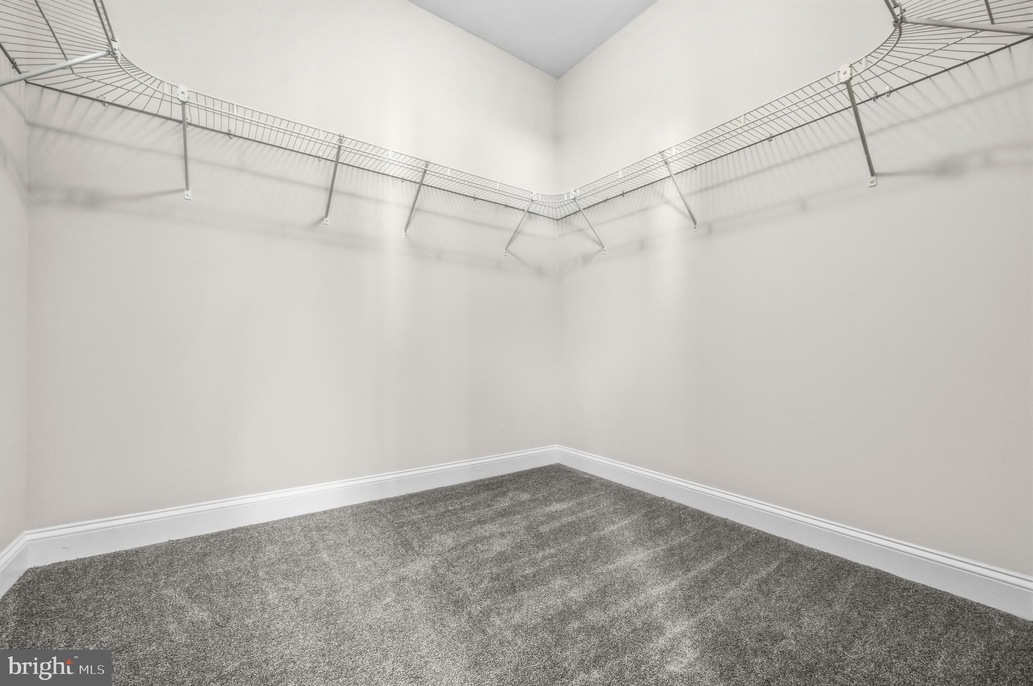 5807 Beecher Street Cheverly, MD 20785 - Photo 29 of 51