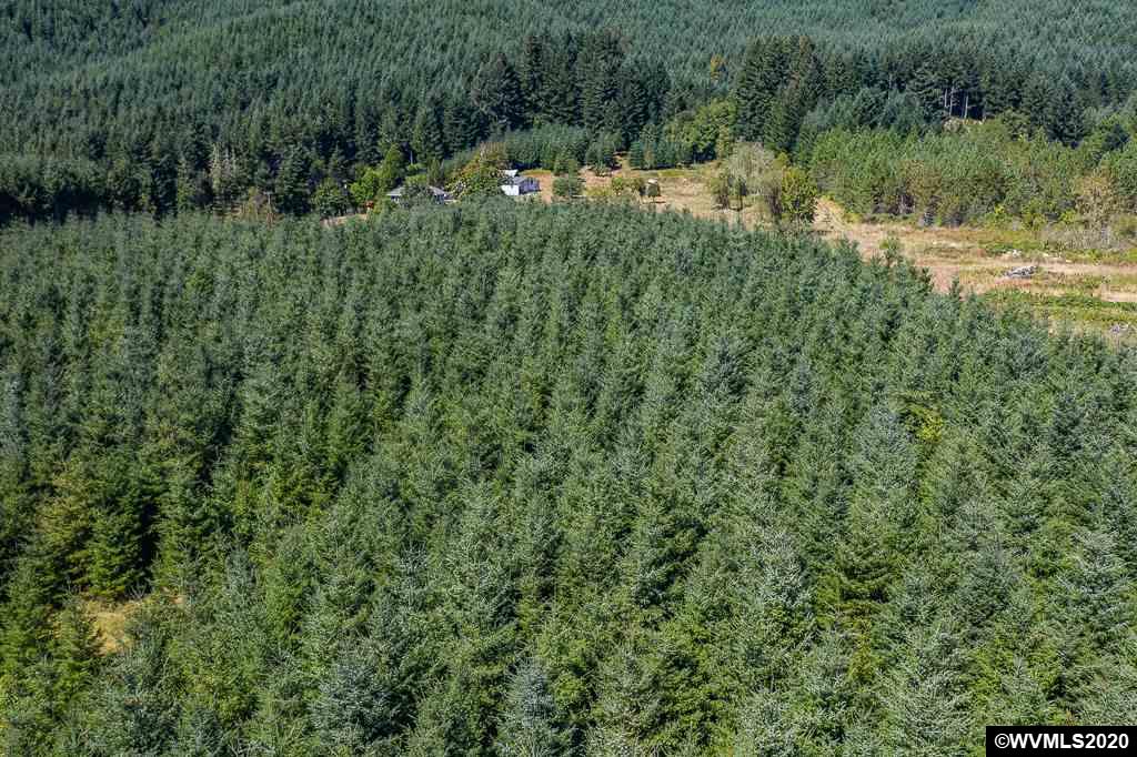 23601 Vaughn Road Veneta, OR 97487 - Photo 6 of 42 Gallery Image 6