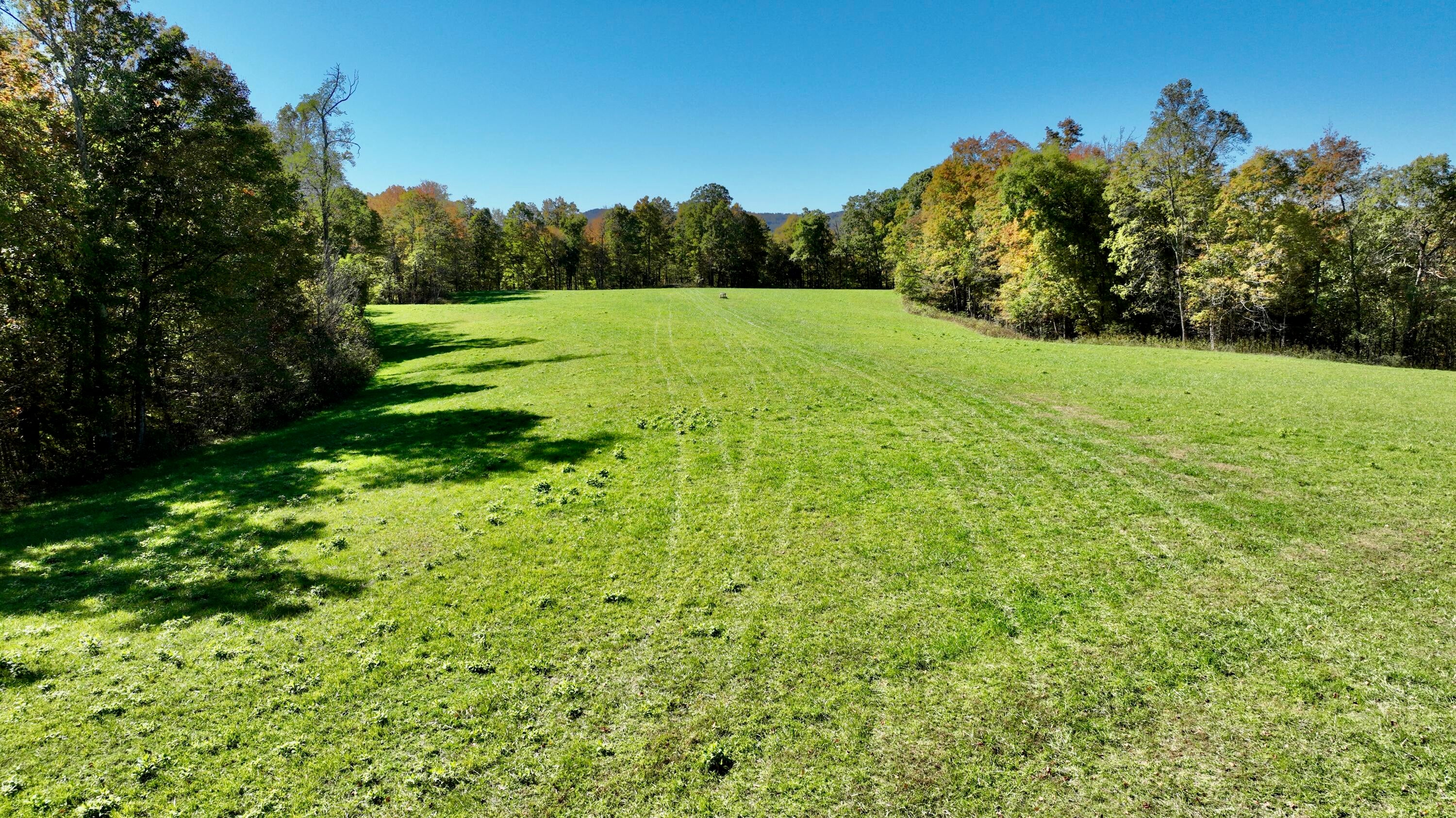 4167 Bal Noble Road Hinton, WV 25951 - Photo 14 of 36 Gallery Image 14