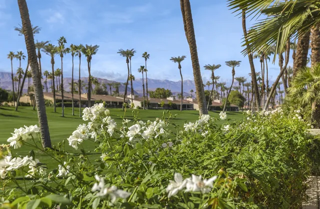 a view of a city with tall buildings