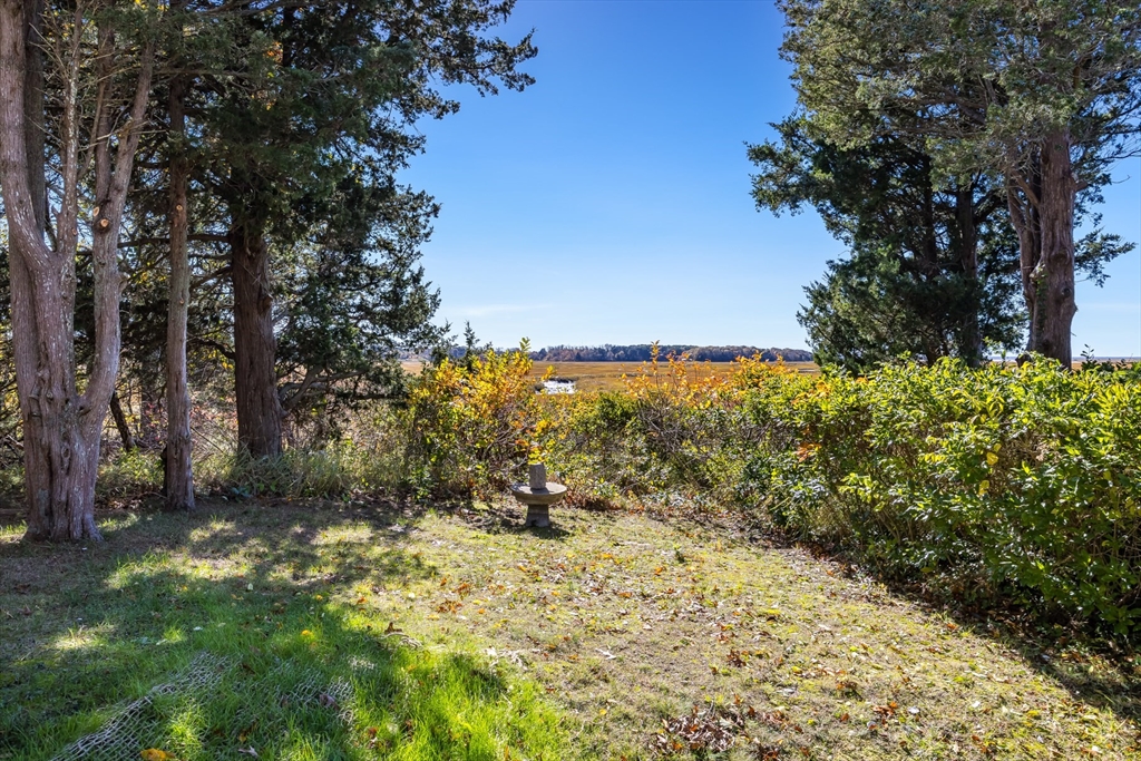 655 Herring Brook Road Eastham, MA 02642 - Photo 34 of 40 a view of a yard with trees