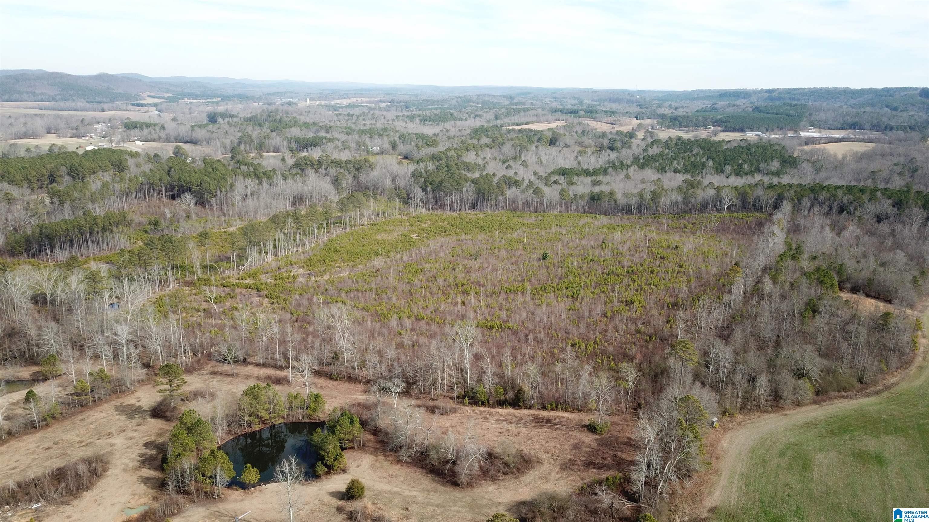 0 Altoona Cutoff Road, Unit 47 5 Oneonta, AL 35121 - Photo 31 of 36