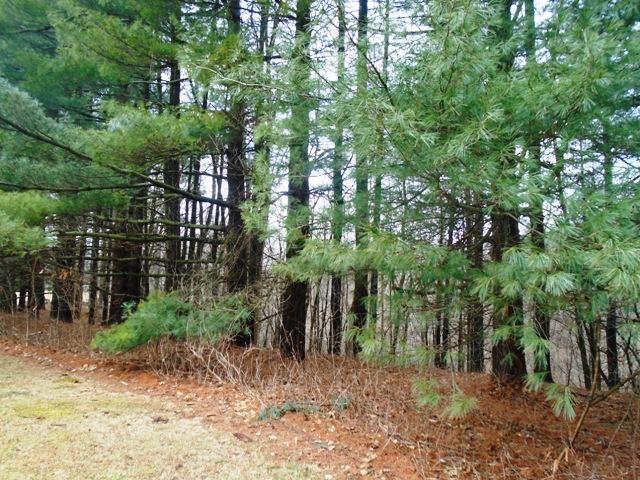 2678 Alward Road Southwest Pataskala, OH 43062 - Photo 11 of 35